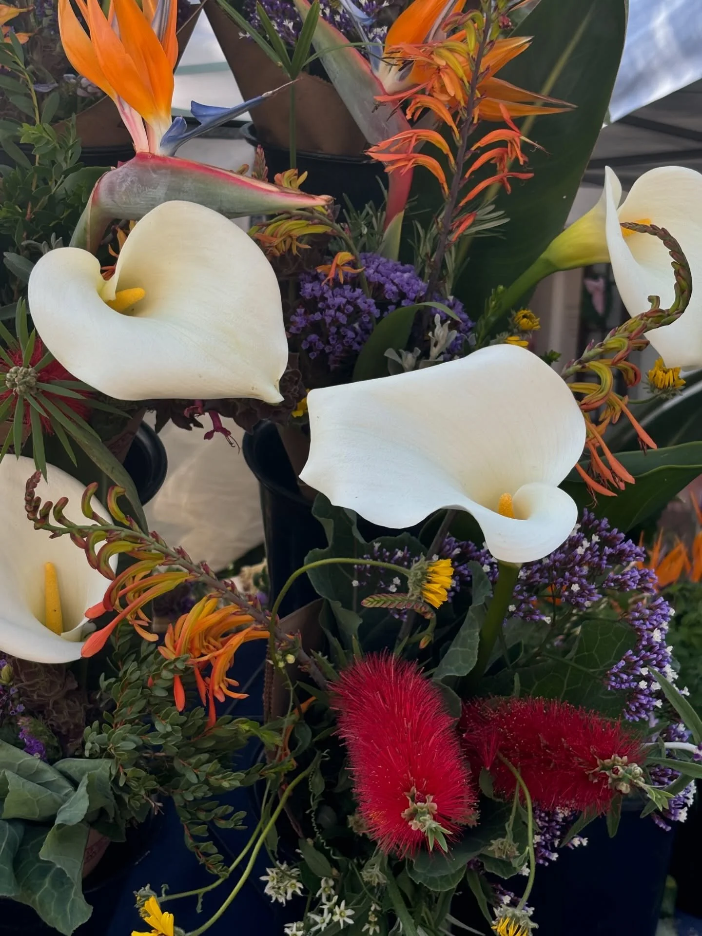 A reminder to go find the beautiful things around you and just look at them - sit there for a while think about why it&rsquo;s beautiful to you!

#art #everyday #explore