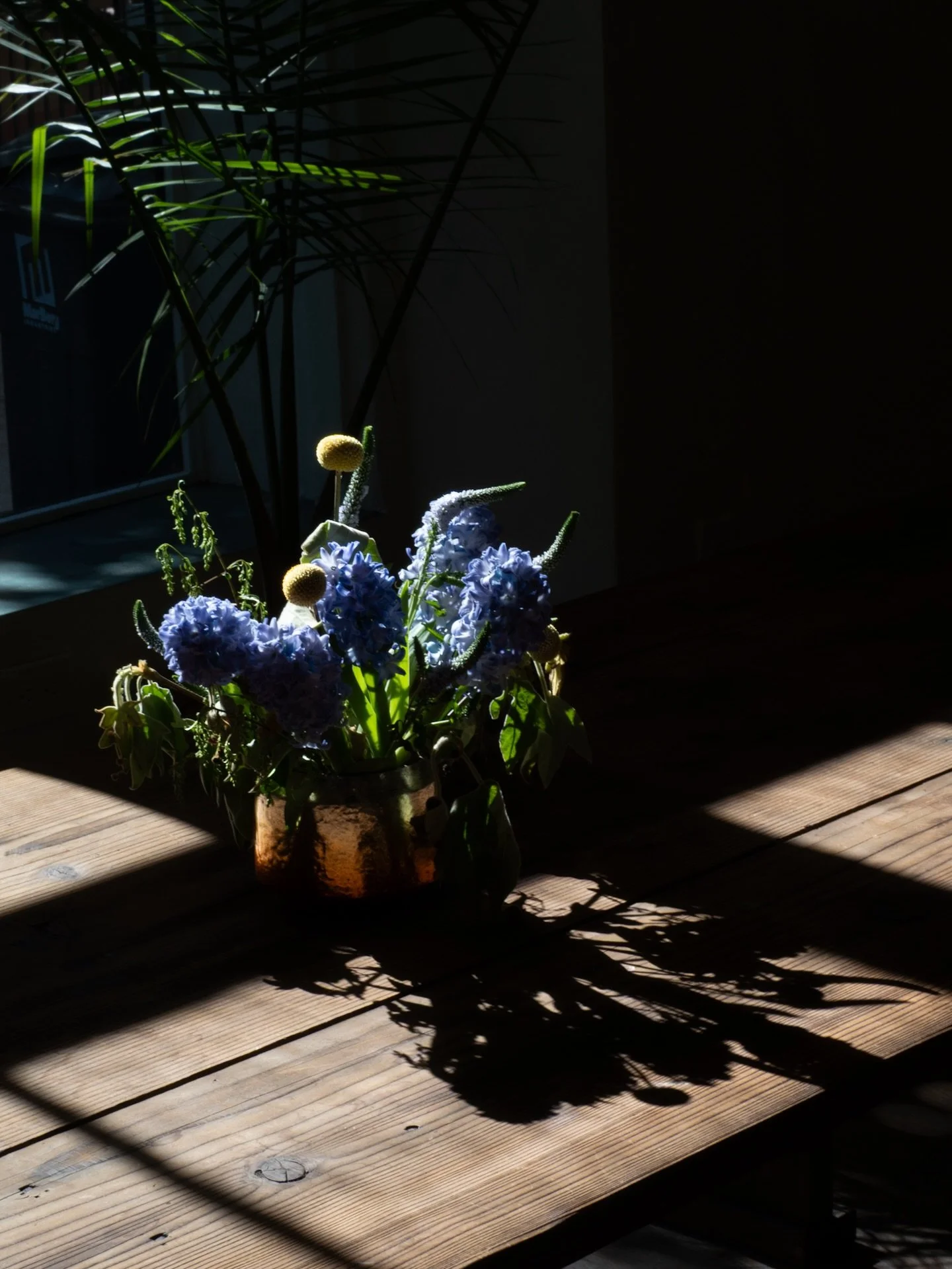 playing with light 🪻🌝

#camera #photography #flowers