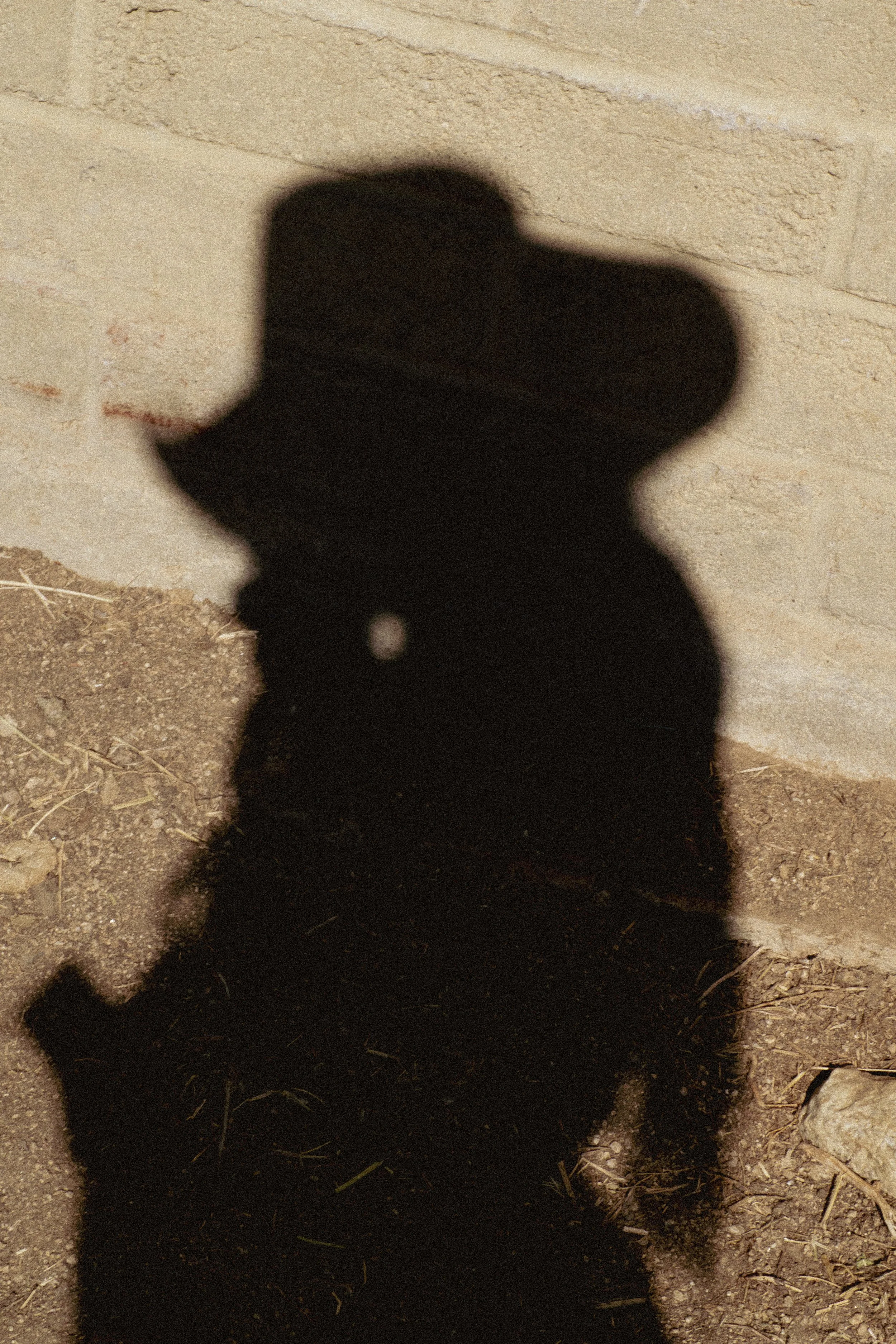 IMG_3639.jpeg
