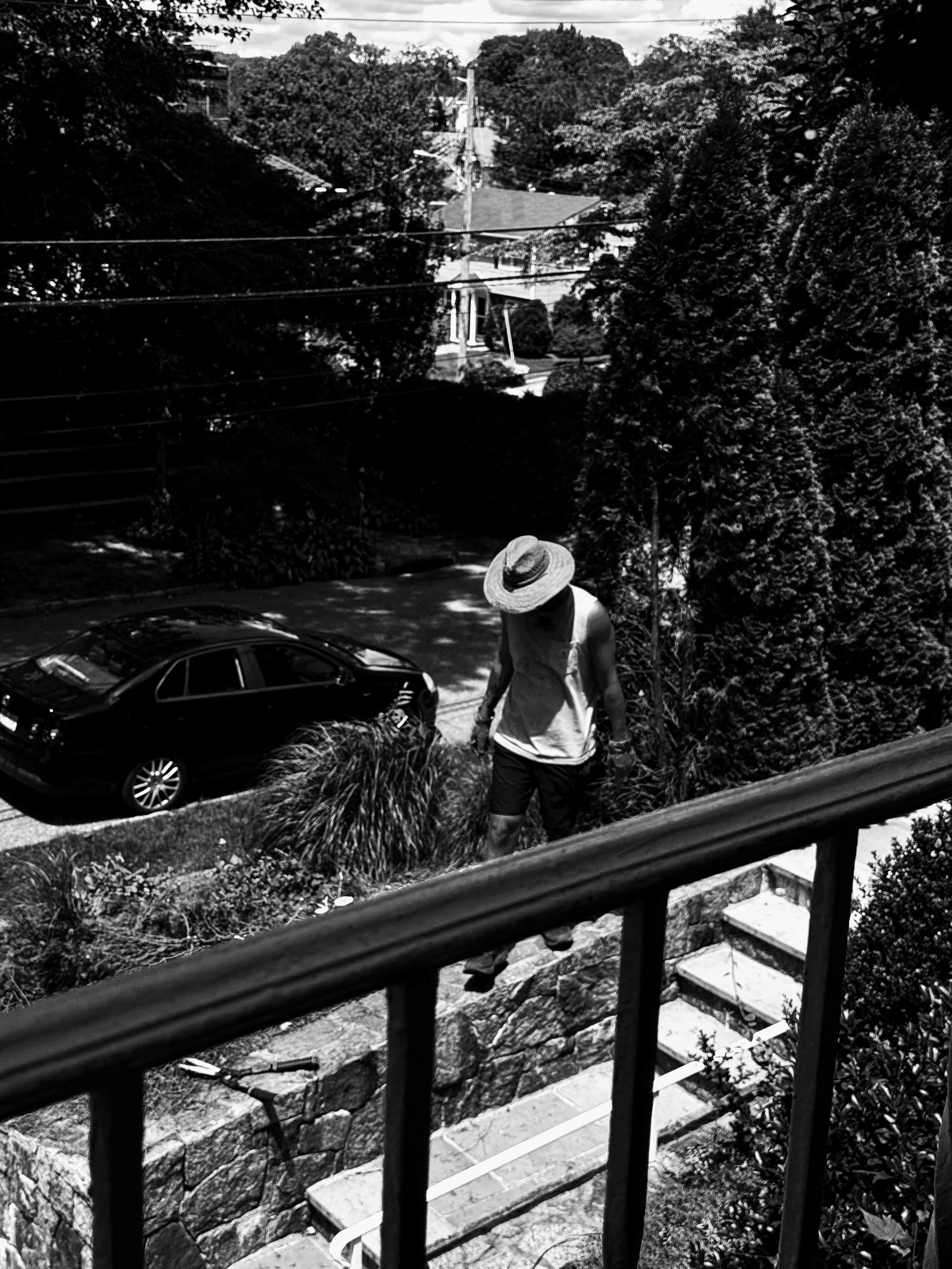 A person wearing a wide-brimmed hat, tank top, and shorts walking down a hillside garden near a railing, with a parked car and trees in the background.