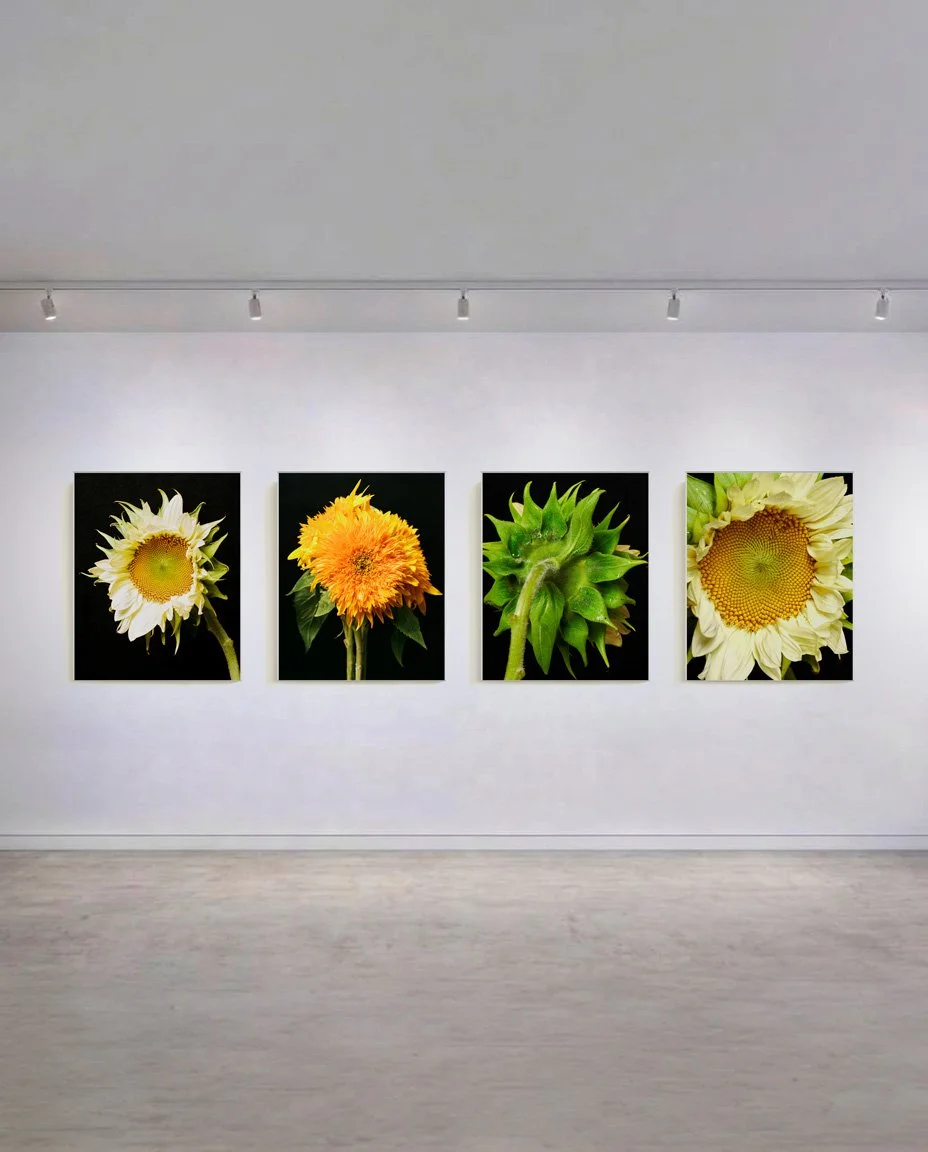 sunflowers_693791f2.jpg