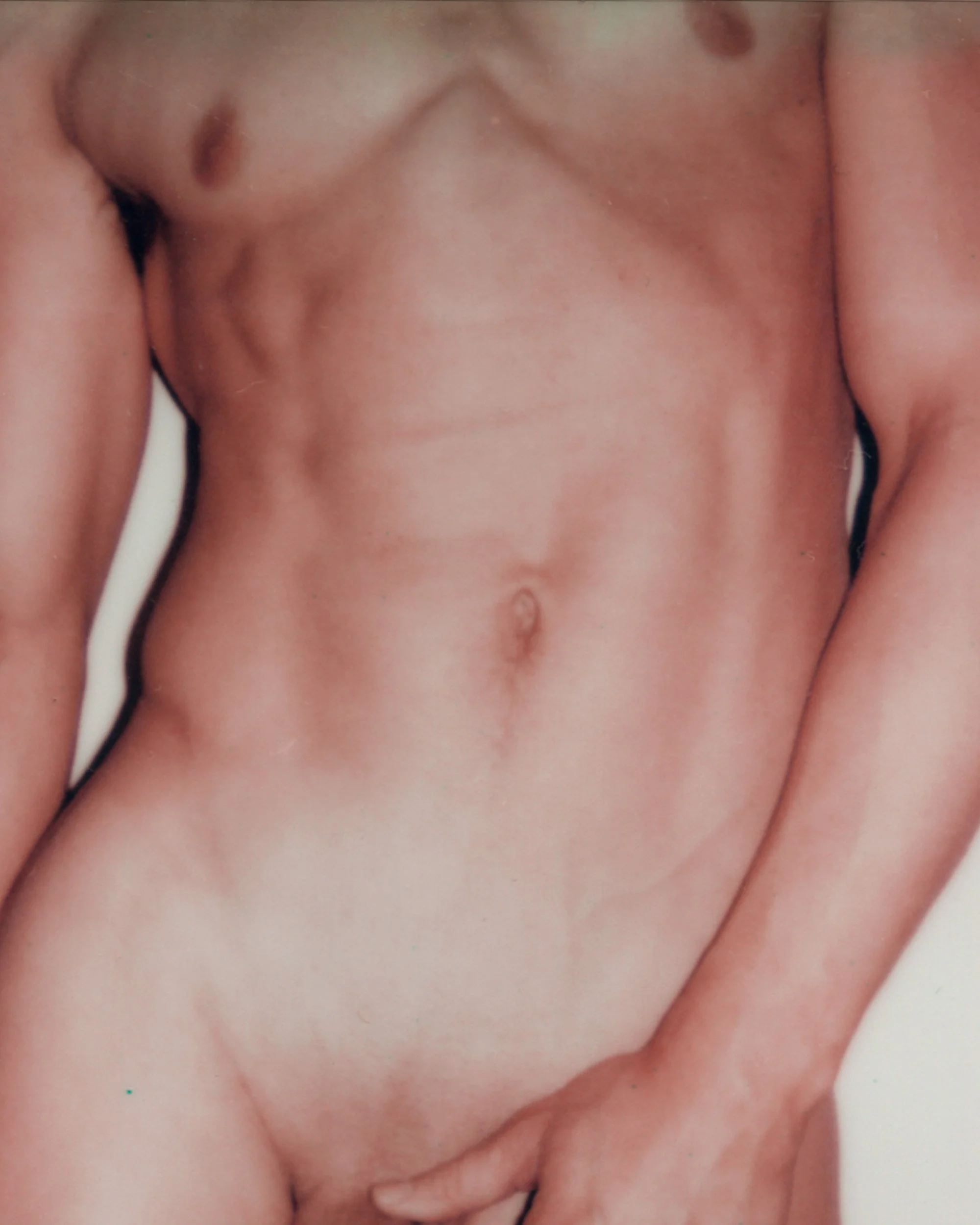 Torso.jpg