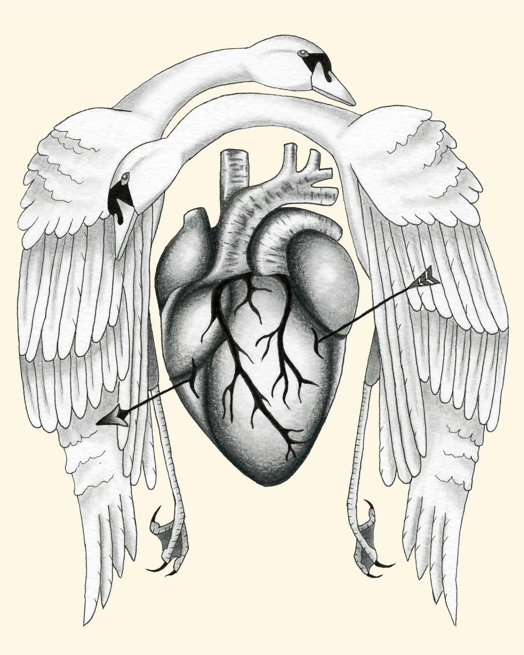 KailinBailey_Swans_2.jpg