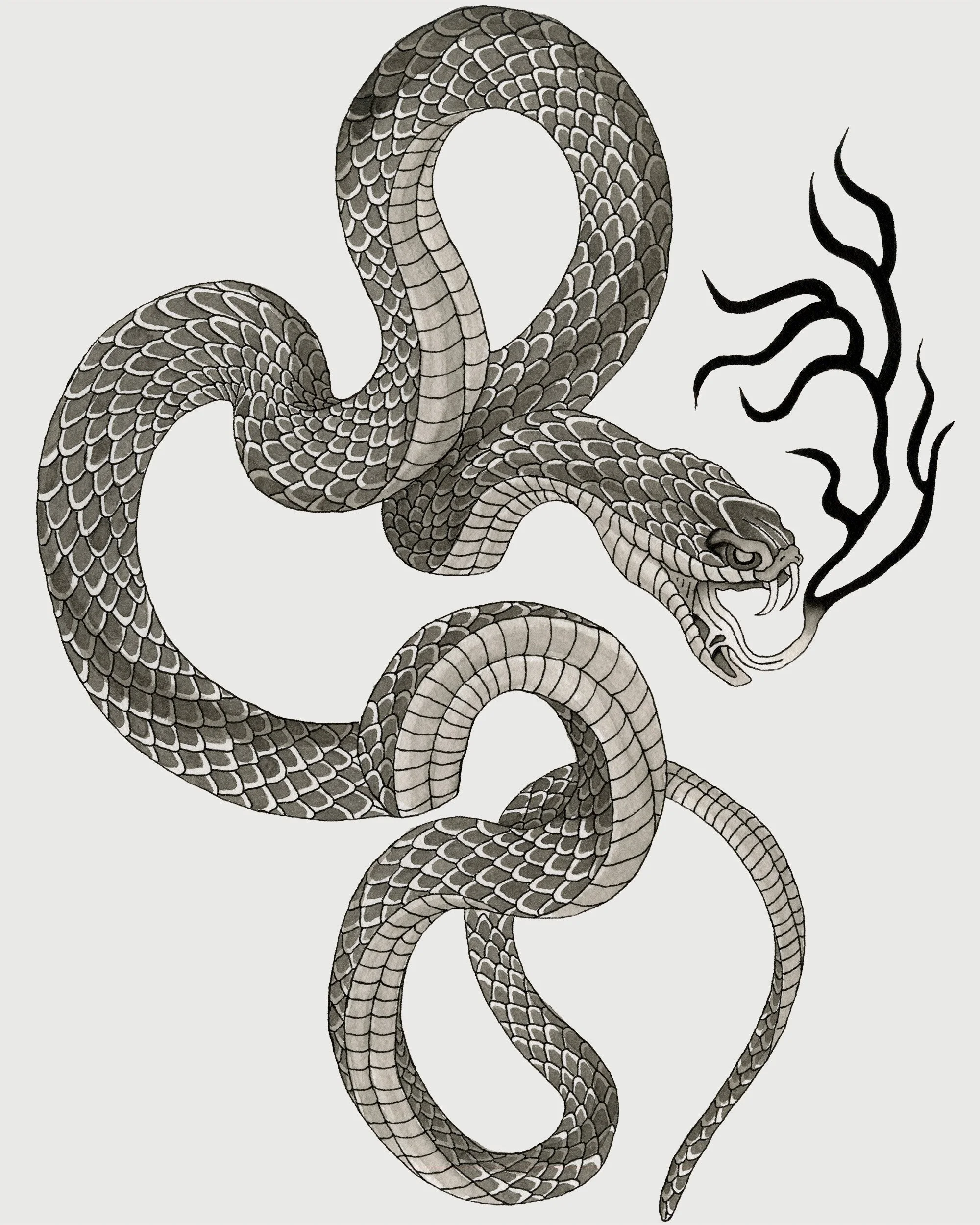 KailinBailey_Serpent_2.jpg