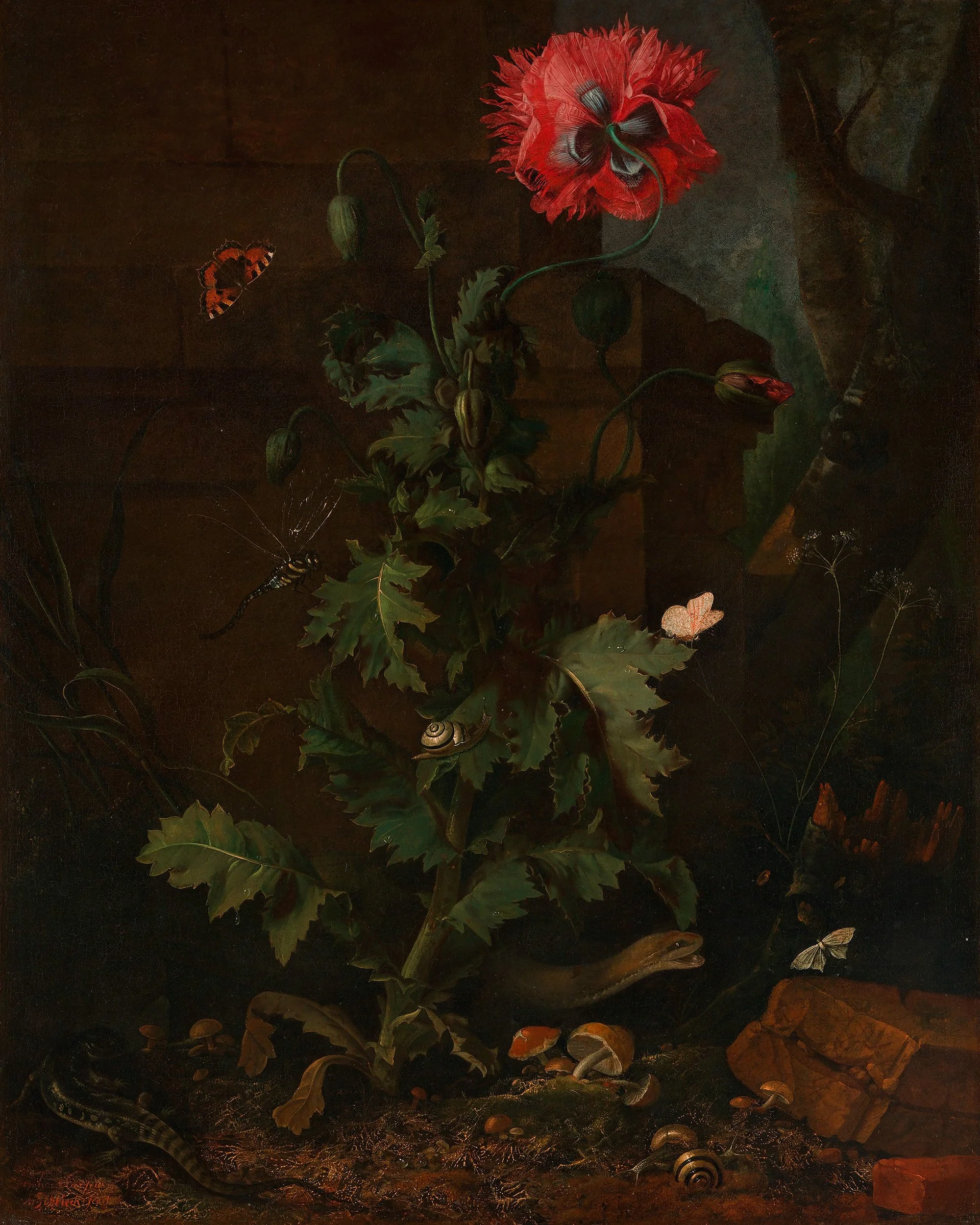 Poppy, Insects, and Reptiles_Otto Marseus van Schrieck copy.jpg