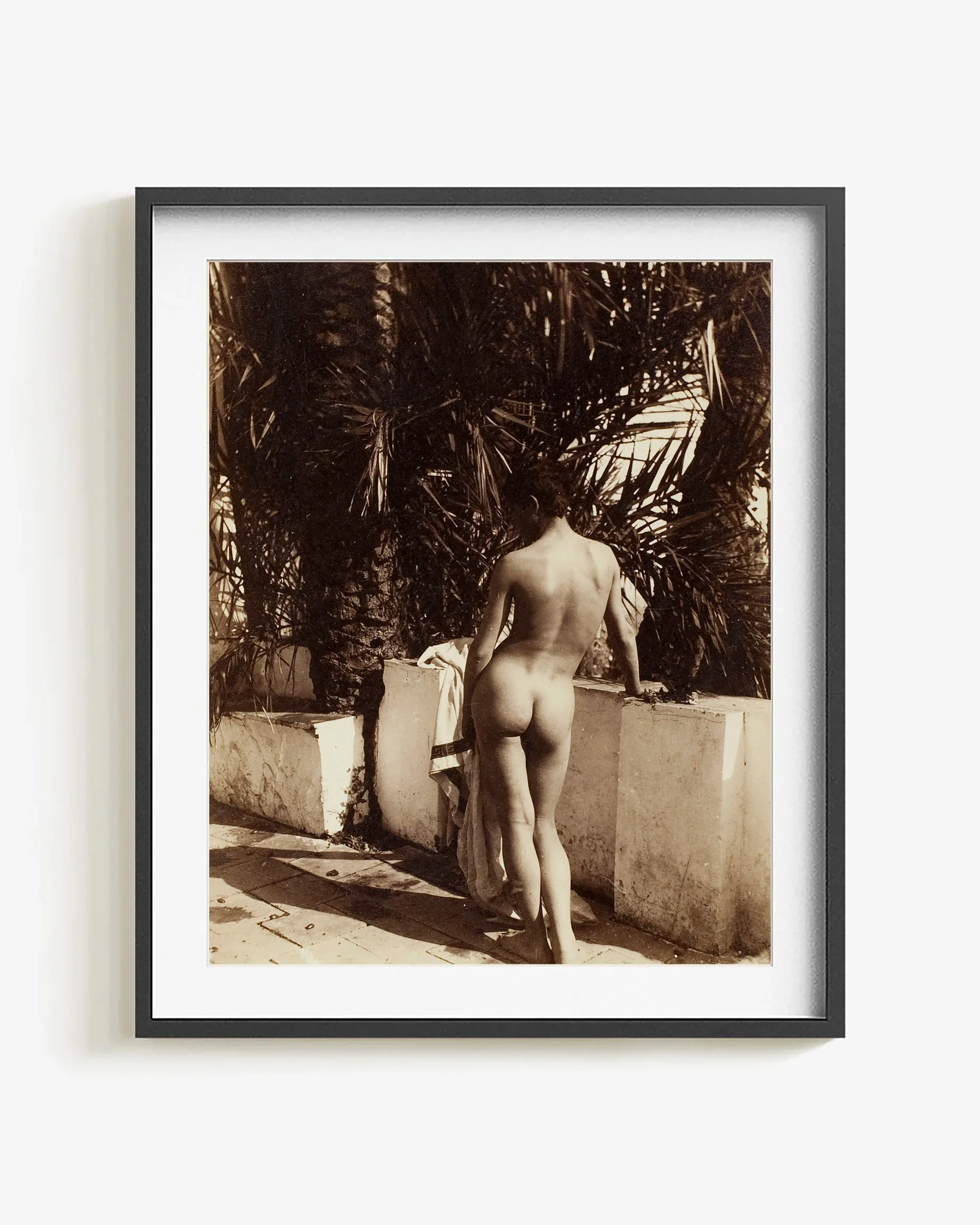 Male Nude