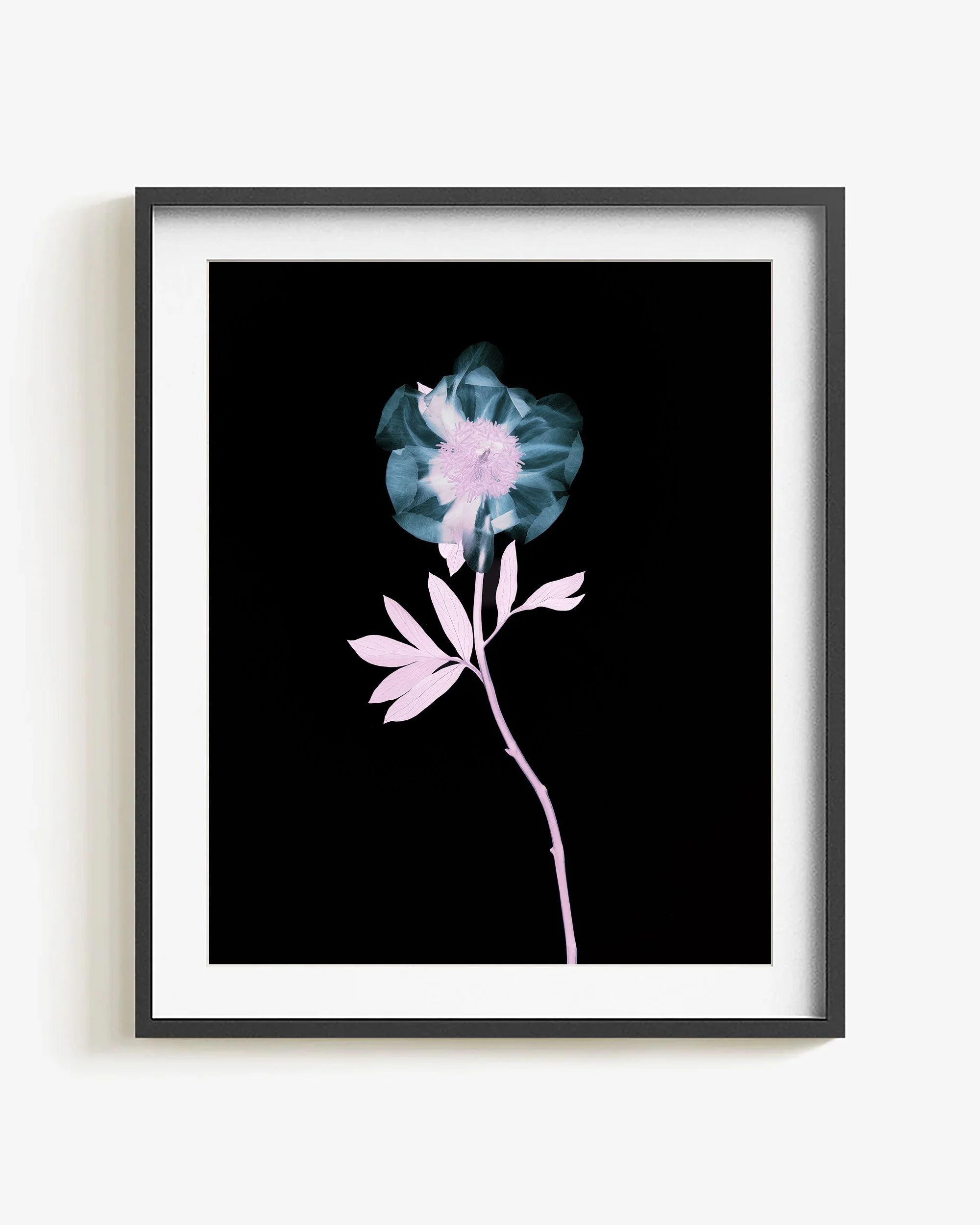 Negative III - Bloom
