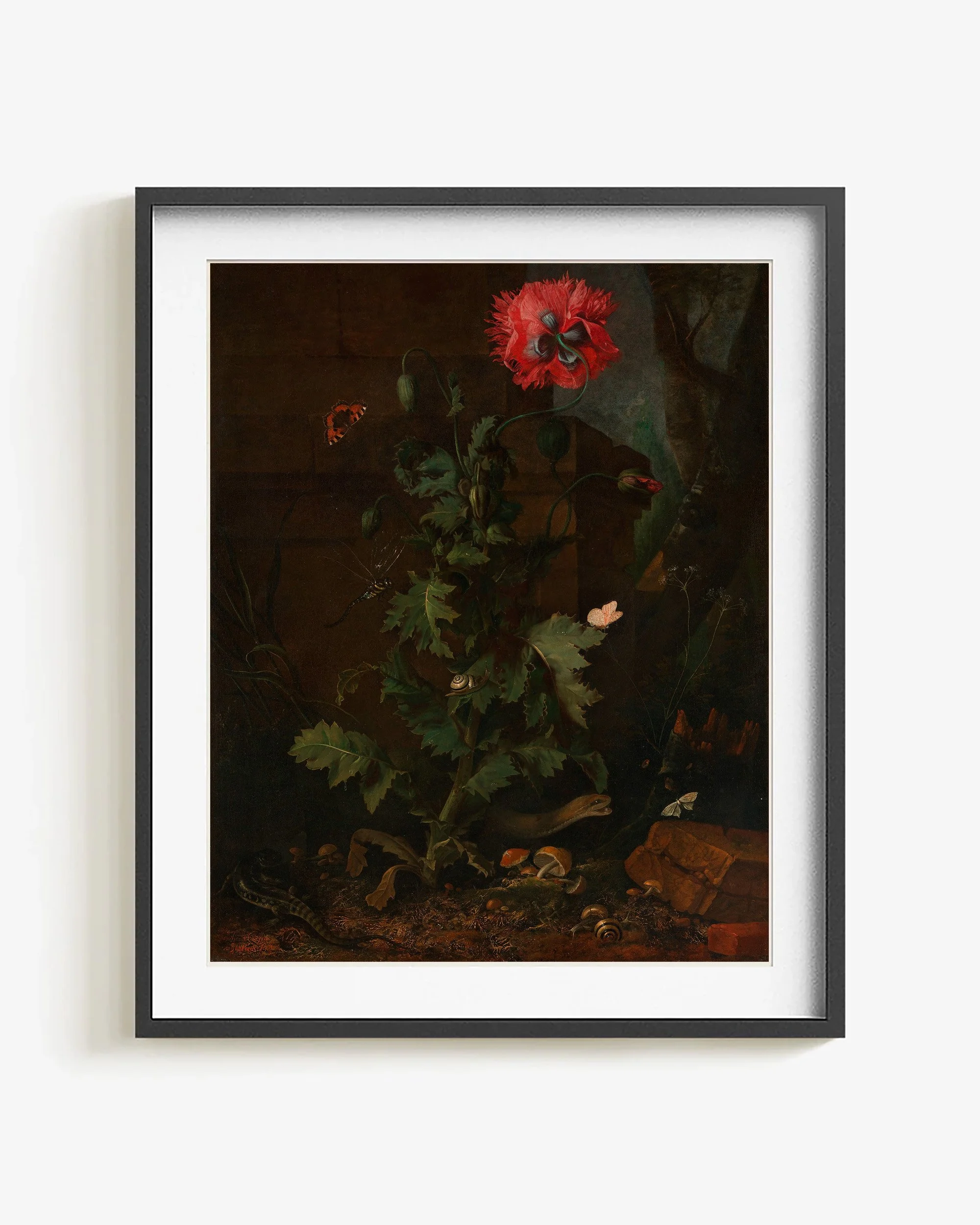 Poppy, Insects, and Reptiles