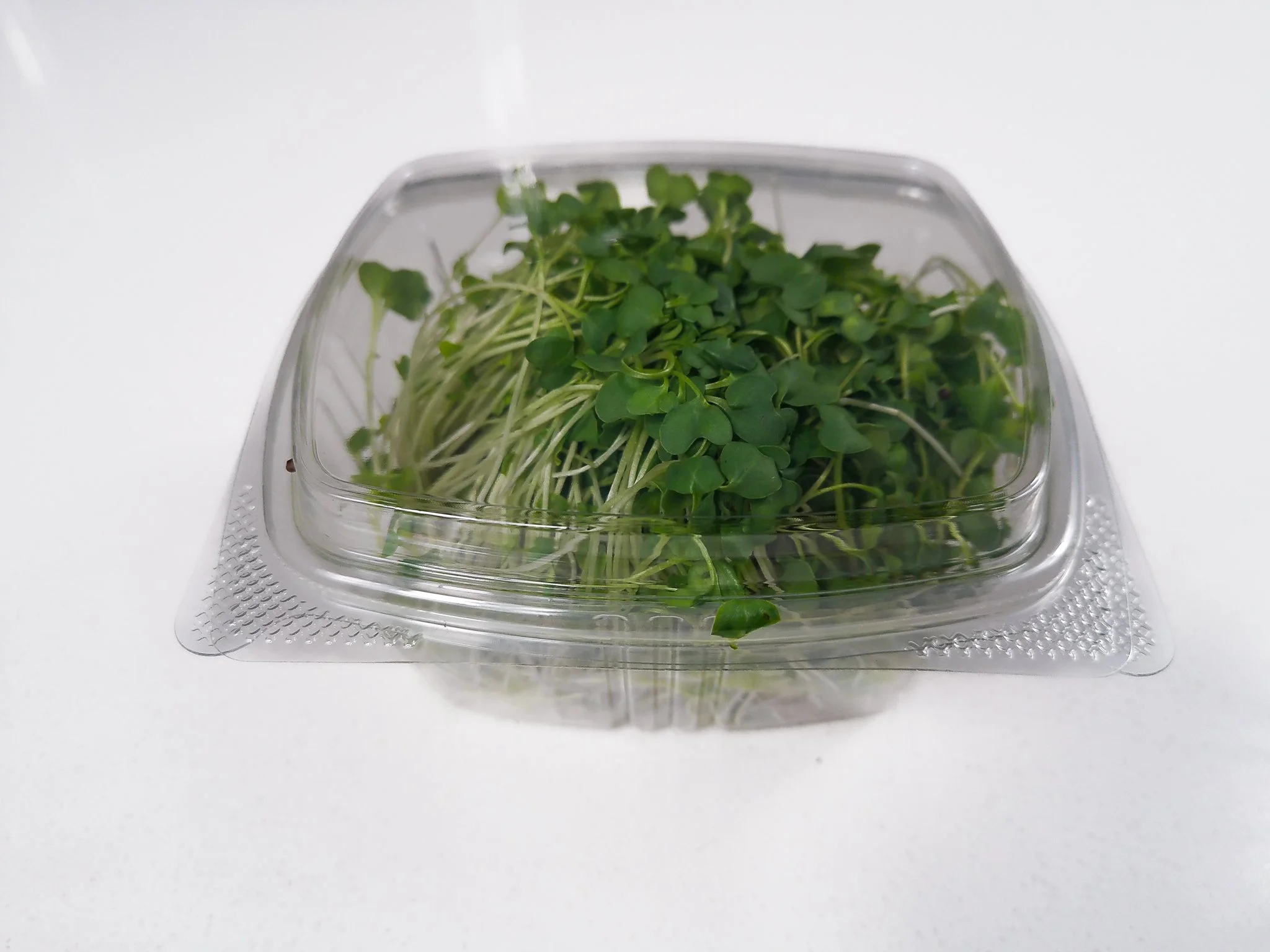 Fresh microgreens in a clear plastic container