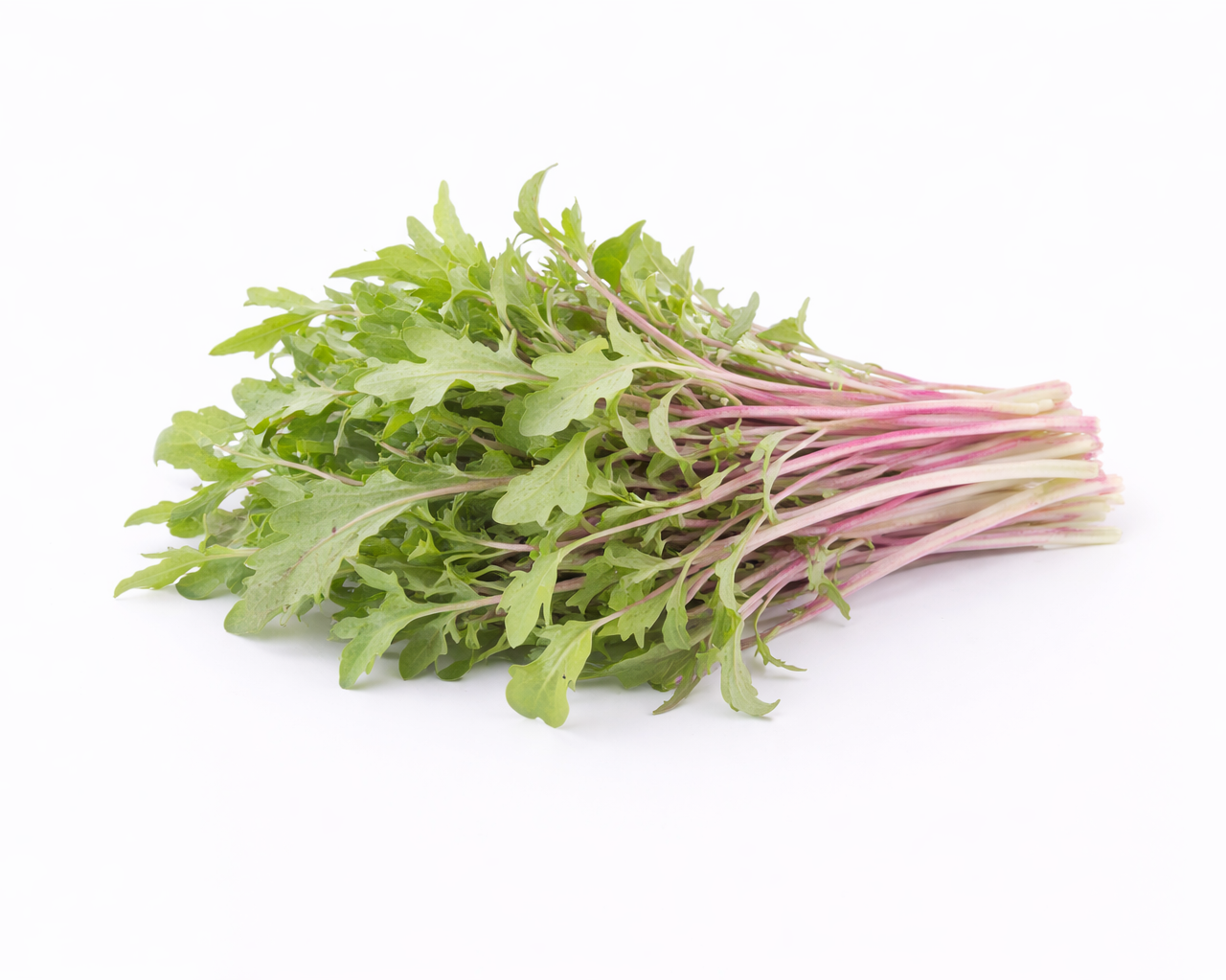 Kale Red Russian (56g / 2oz)