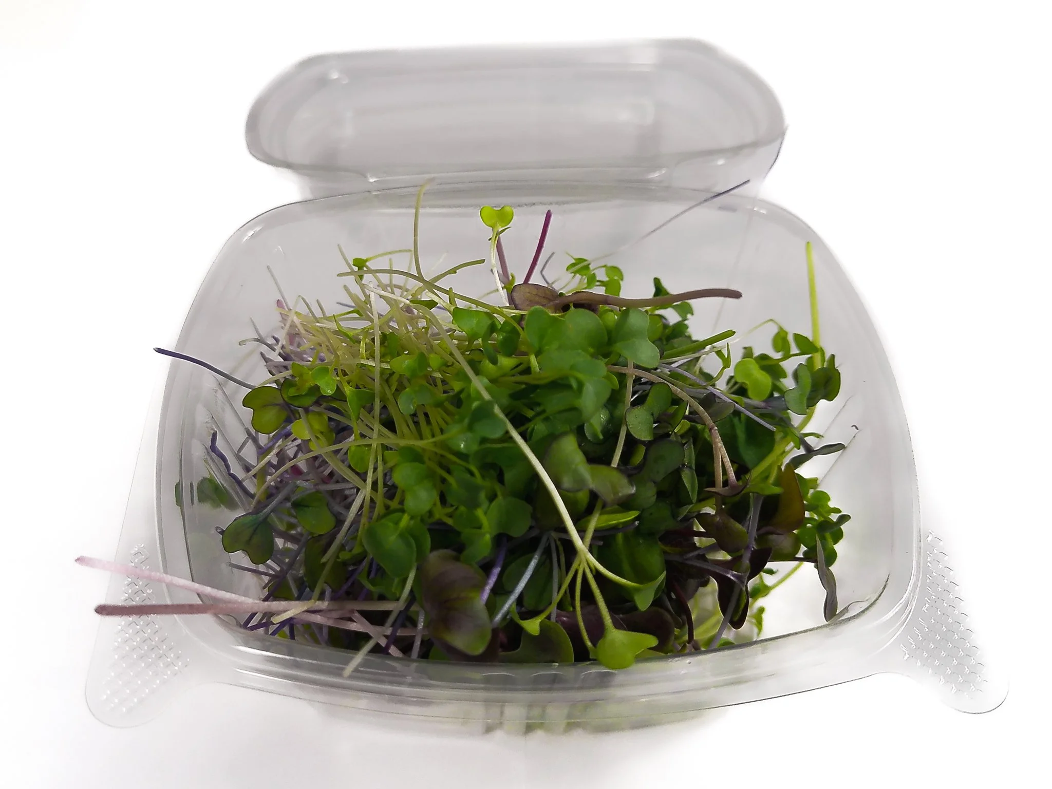 A clear plastic container with microgreens inside, including green and purple sprouts, on a white background.