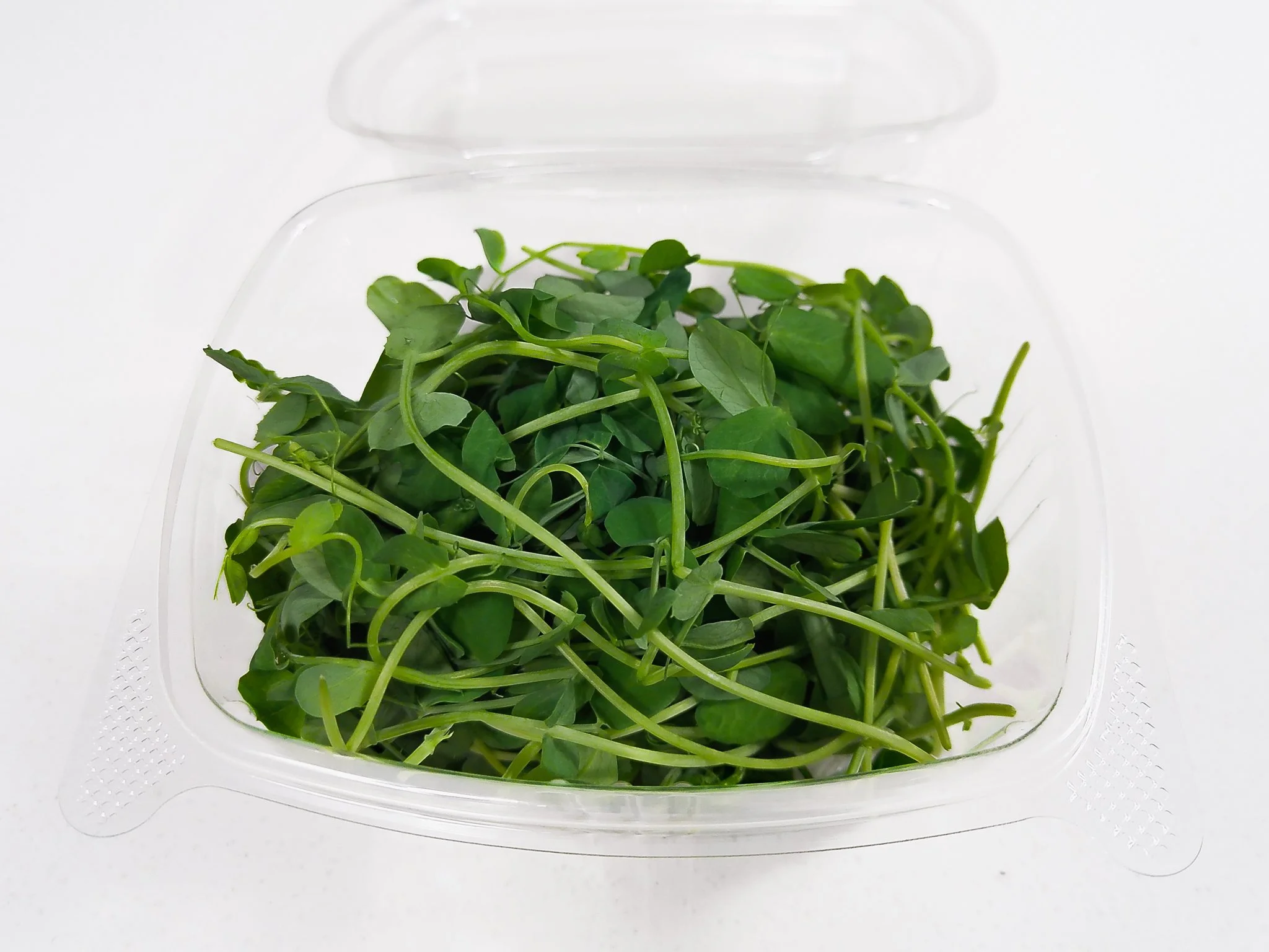 Fresh green microgreens in a clear plastic container on a white surface.