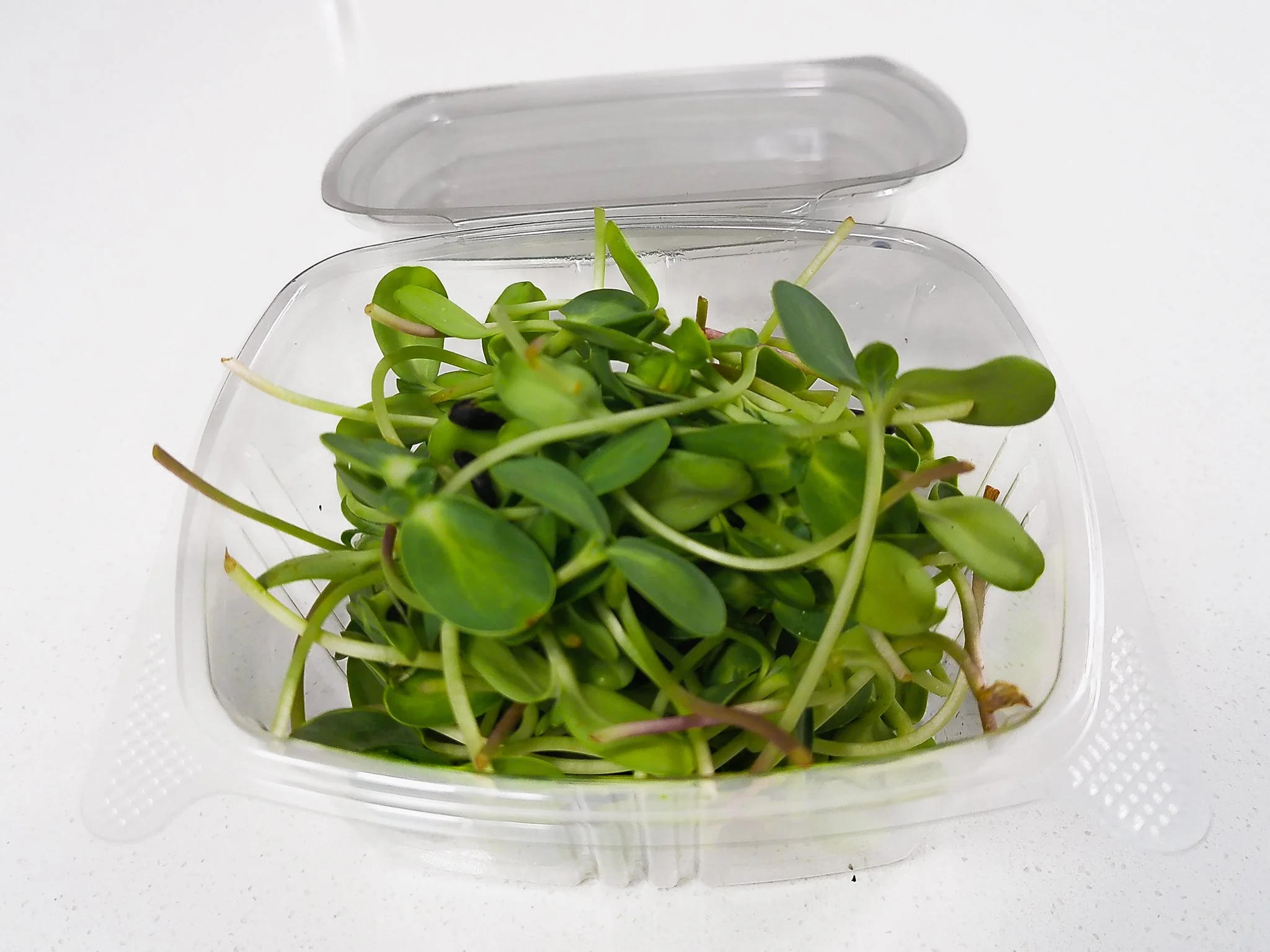 Fresh microgreens in a clear plastic container with an open lid, placed on a white surface.