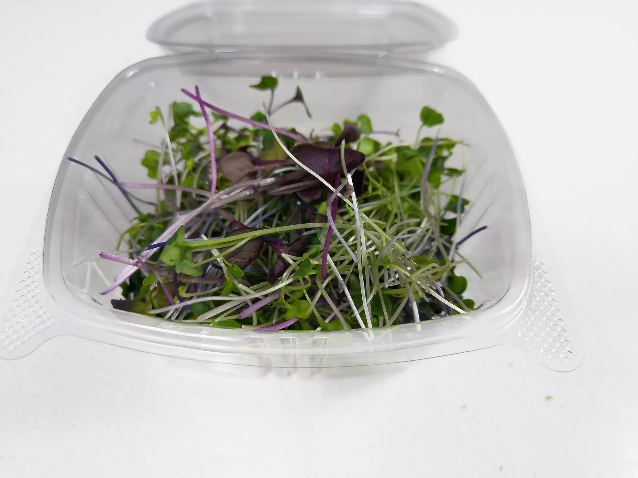 A clear plastic container filled with microgreens, including purple and green sprouted leaves, on a white surface.