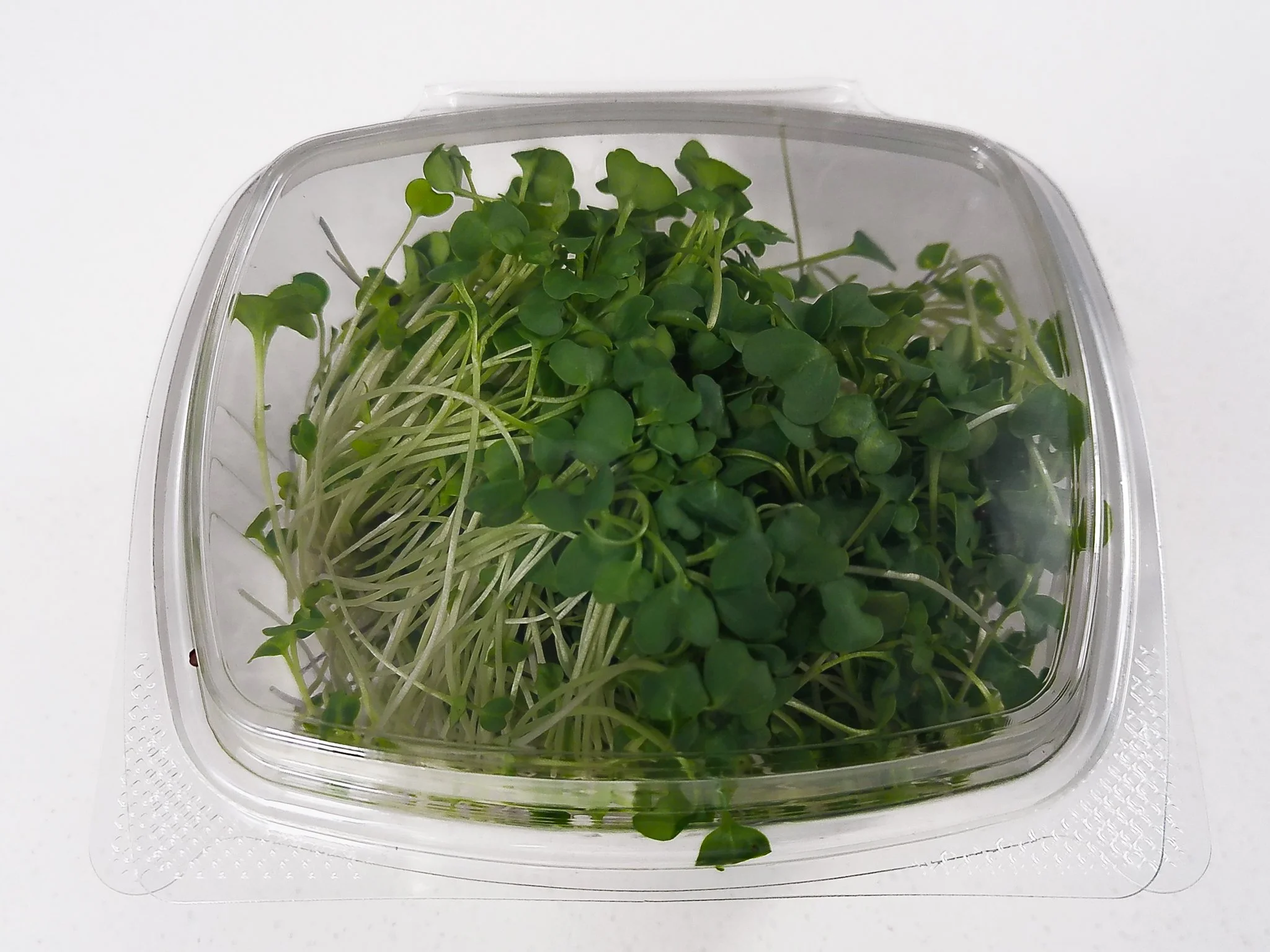 Container of fresh microgreens with small green leaves and white stems.