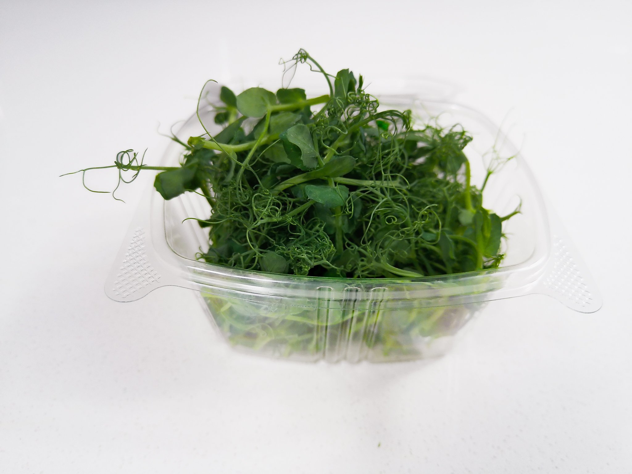Fresh green microgreens in a clear plastic container on a white surface.