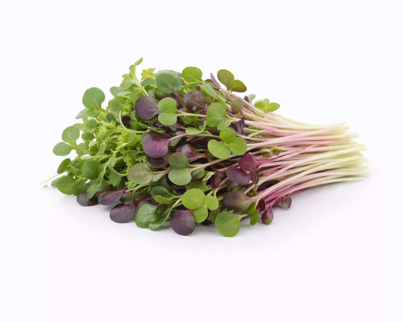 Basic Salad Mix (56g / 2oz)