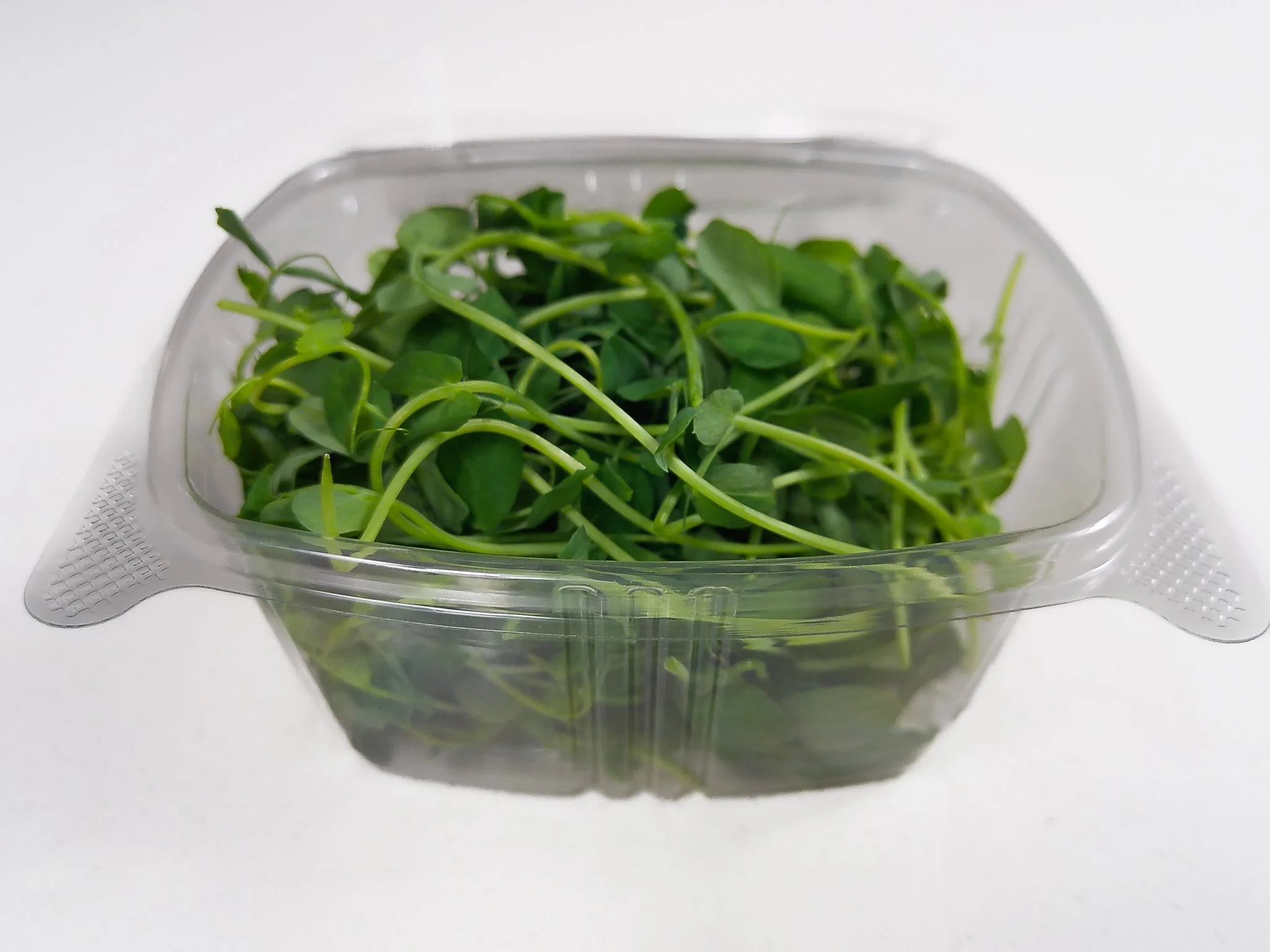 Fresh green microgreens in a clear plastic container on a white surface.