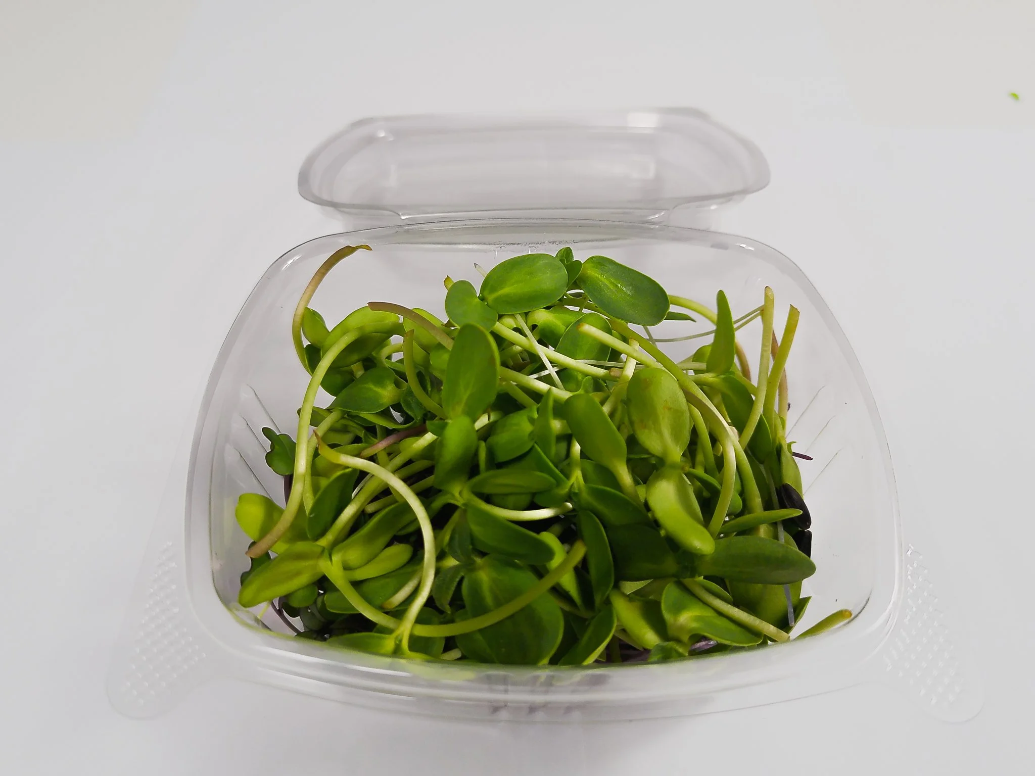 Sunflower (113g / 4oz)