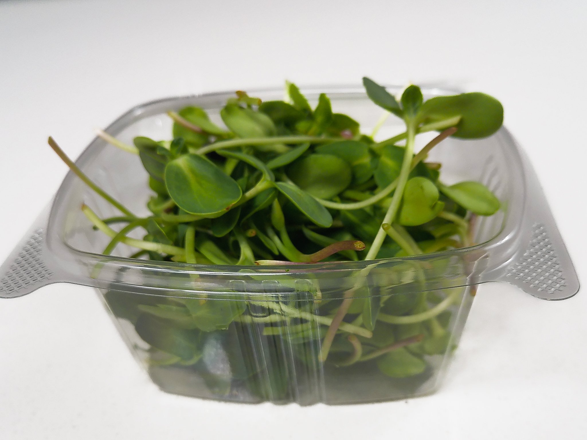 Fresh microgreens in a clear plastic container on a white surface.