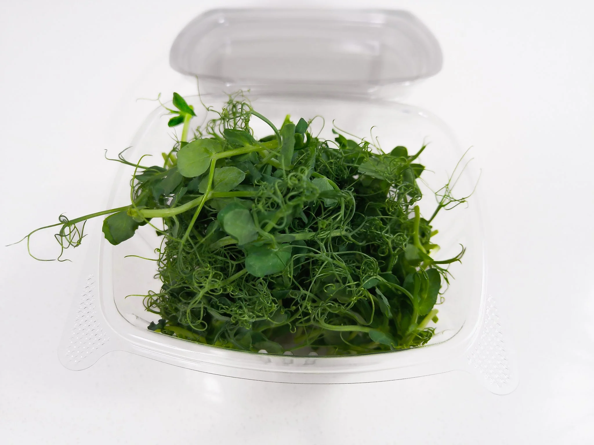 Fresh green microgreens in a clear plastic container on a white surface