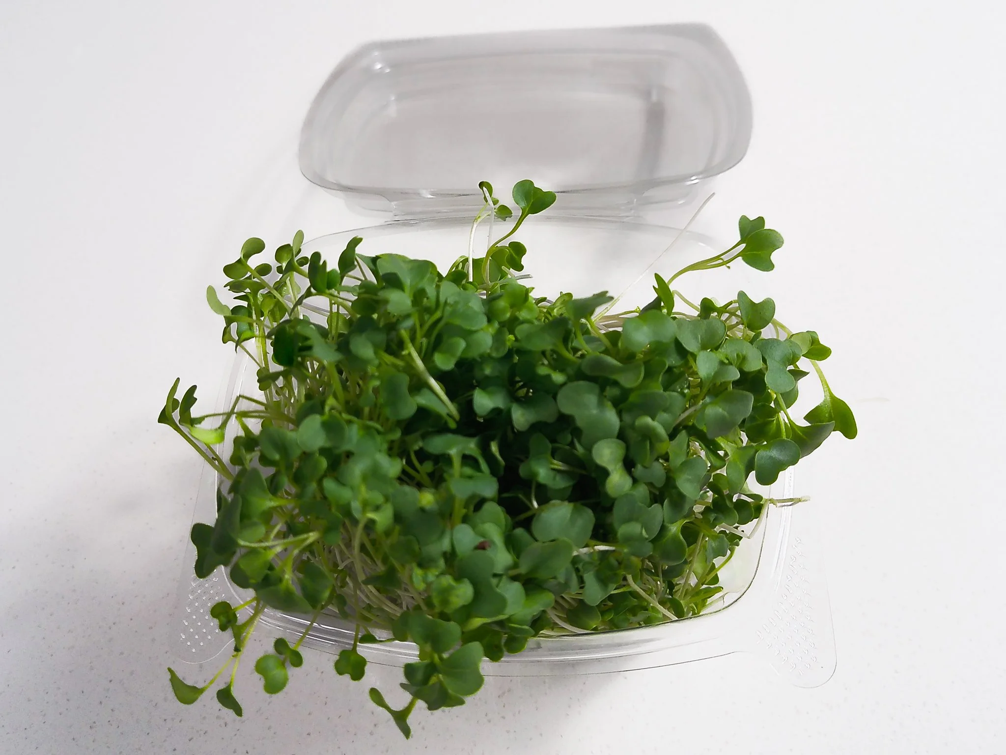 Fresh microgreens in a clear plastic container on a white surface.