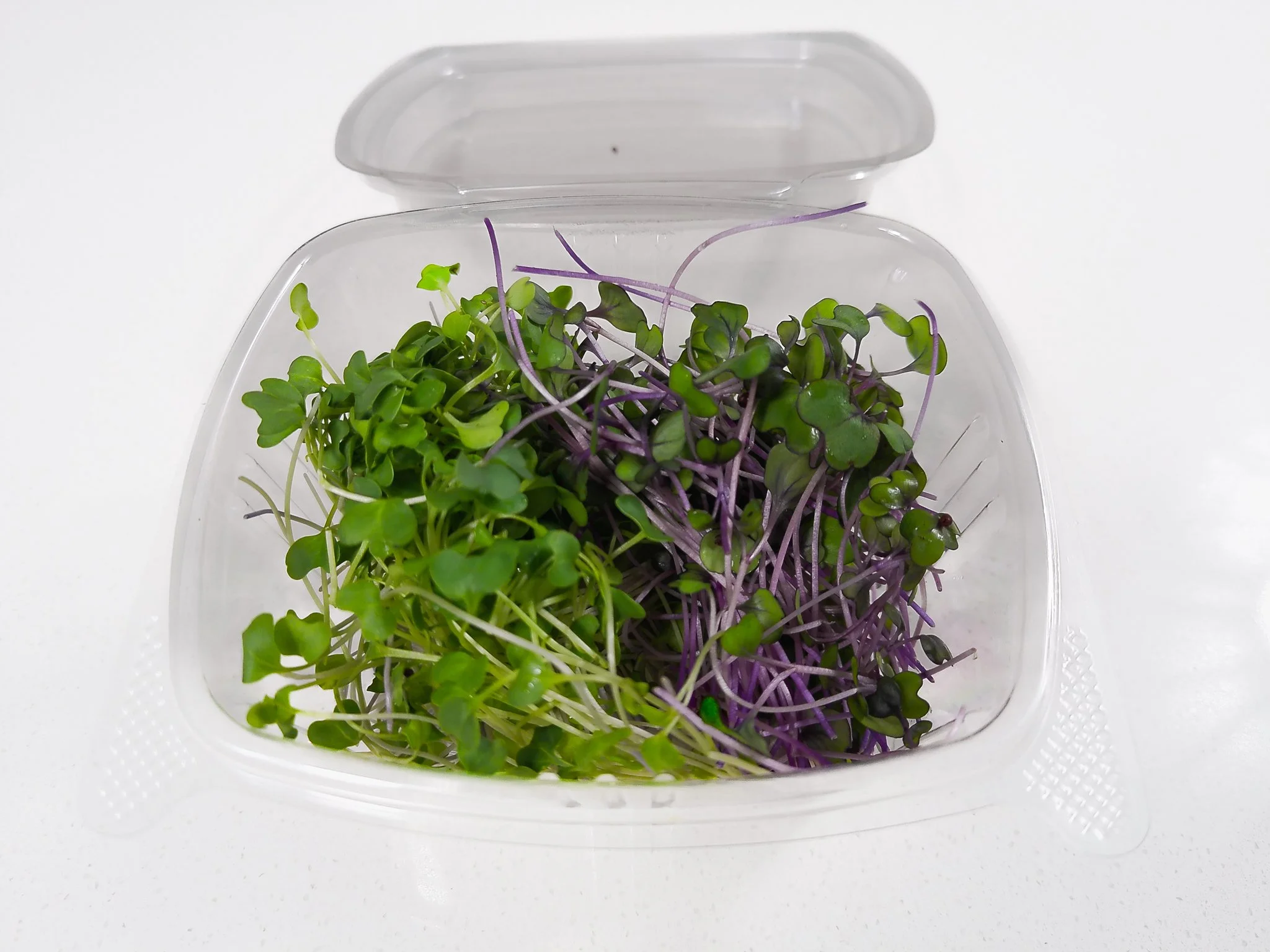 Spicy Salad Mix (113g / 4oz)