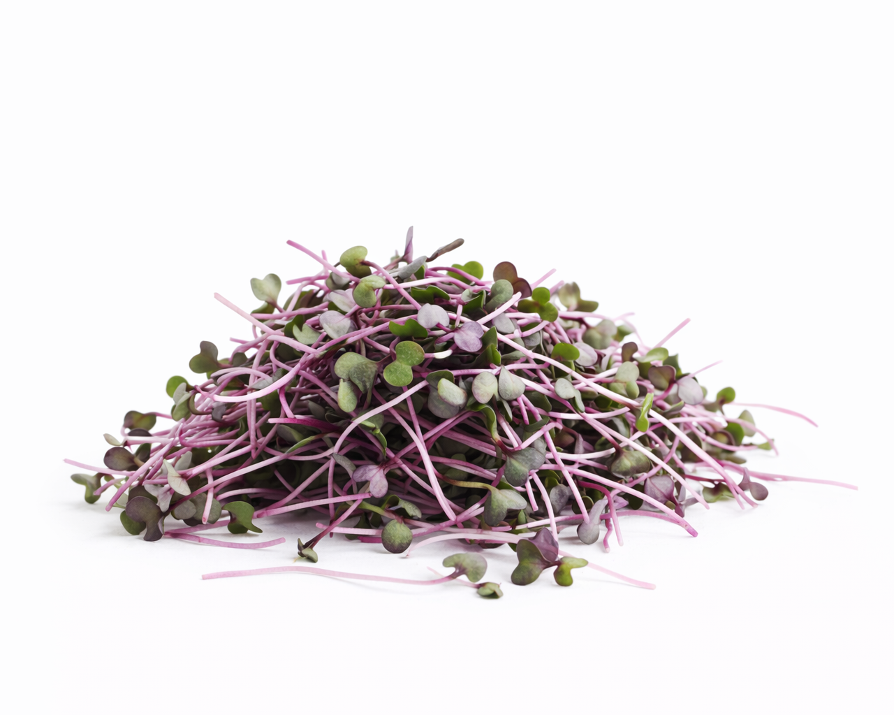 Red Cabbage (56g / 2oz)