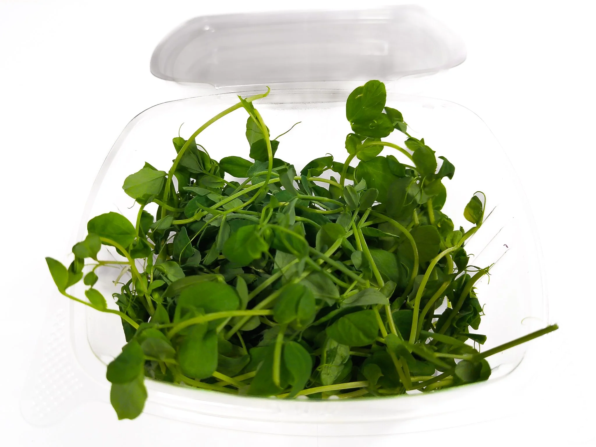 Pea Shoots (113g / 4oz)