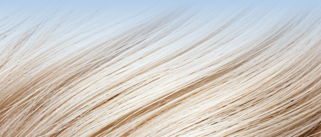 Blondes without damage