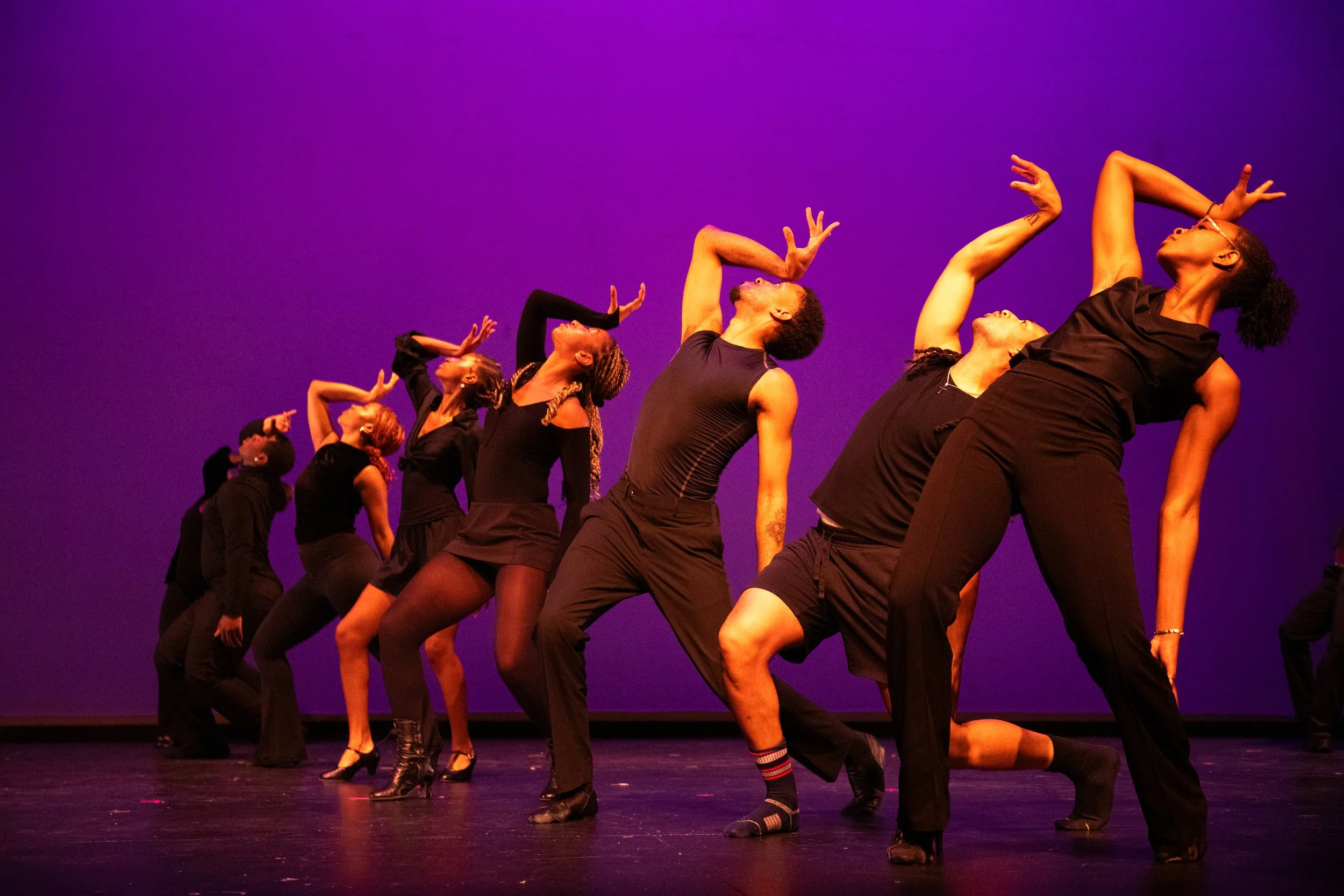 A Fine Fine Fine Showcase