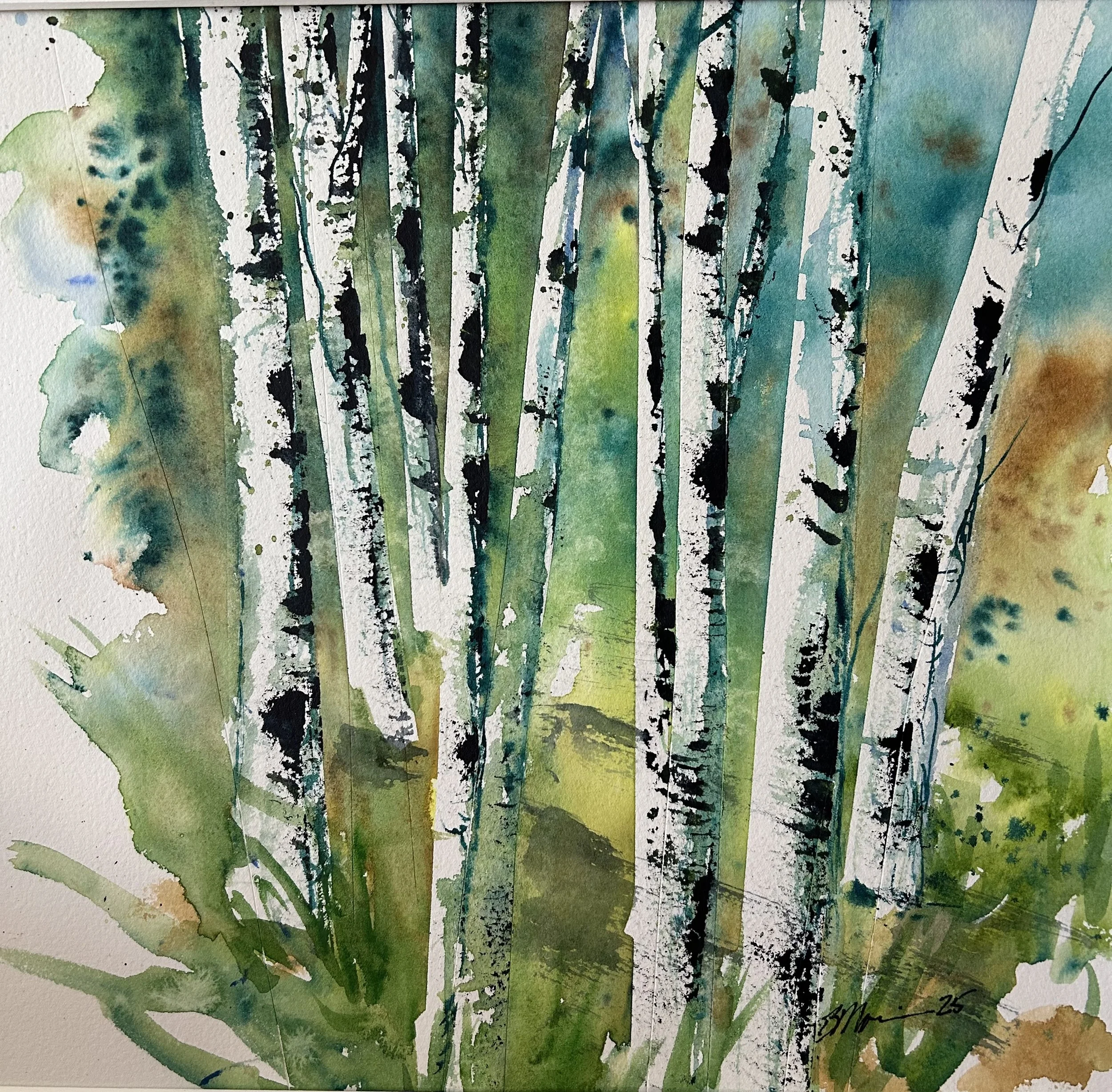 10x12 Blue Birch