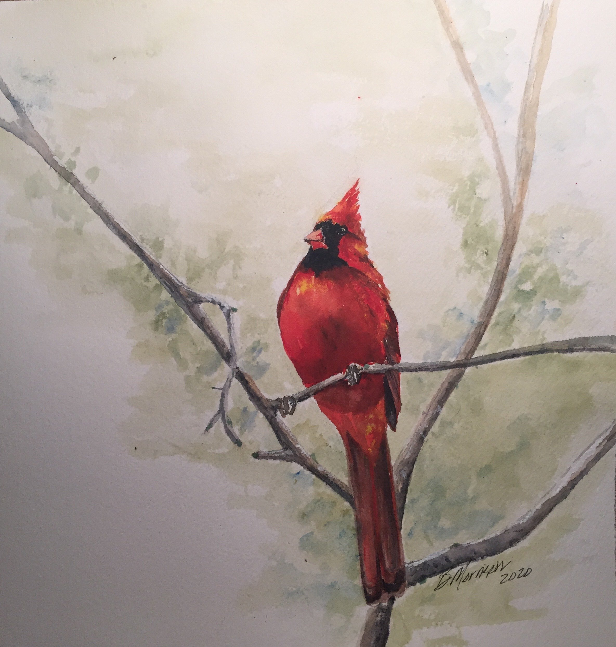 10x10 Cardinal Painting