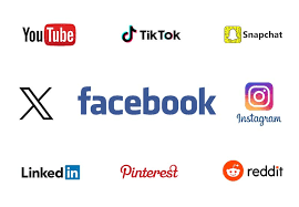 Logos of popular social media platforms including YouTube, TikTok, Snapchat, Facebook, Instagram, LinkedIn, Pinterest, and Reddit.