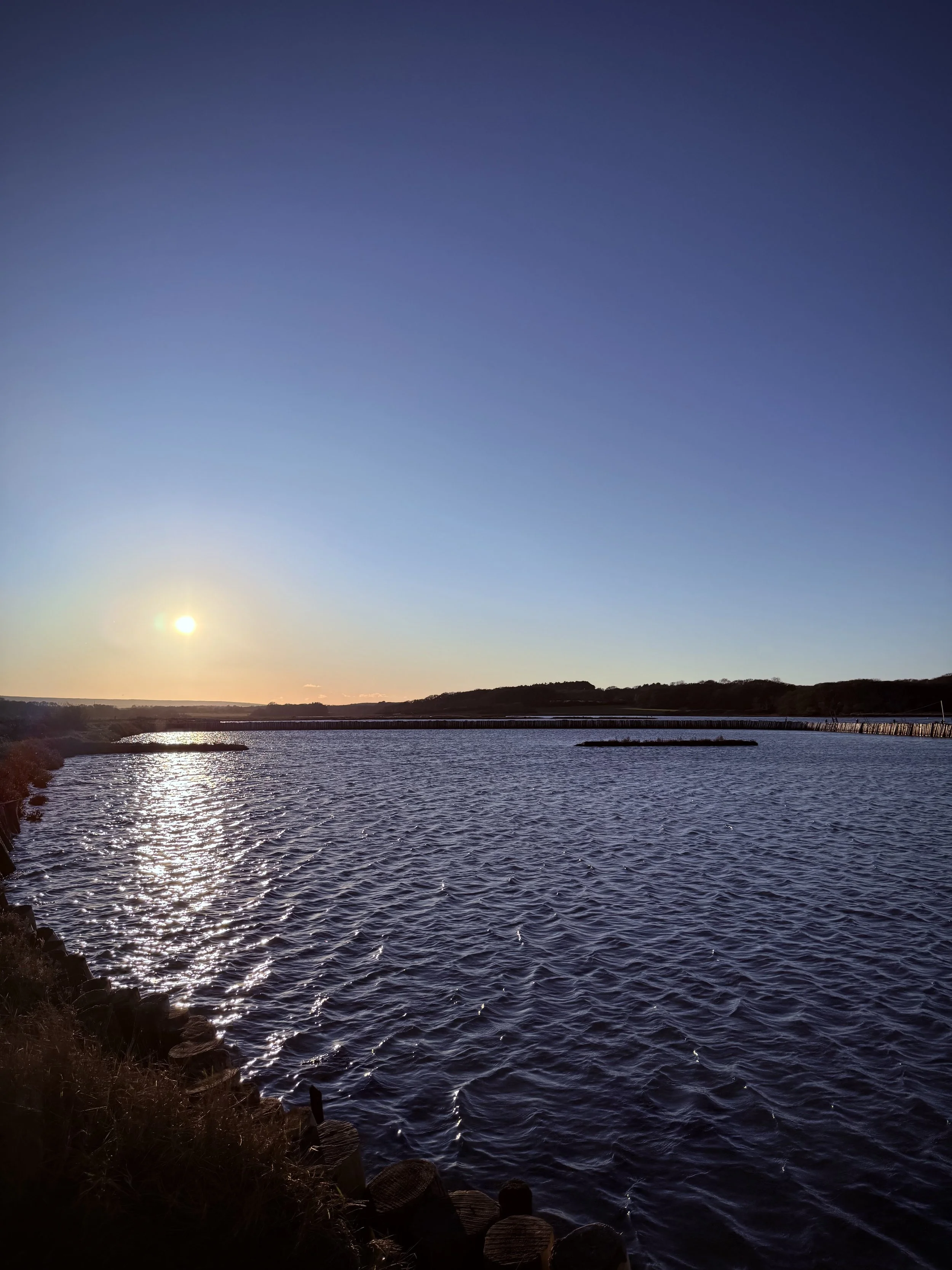 Sunset over a calm body of water with a clear sky and distant trees on the horizon.