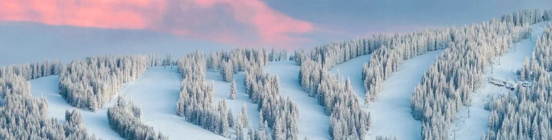 Snow-covered ski slopes and dense evergreen trees on a mountain at sunset with pink and blue sky.