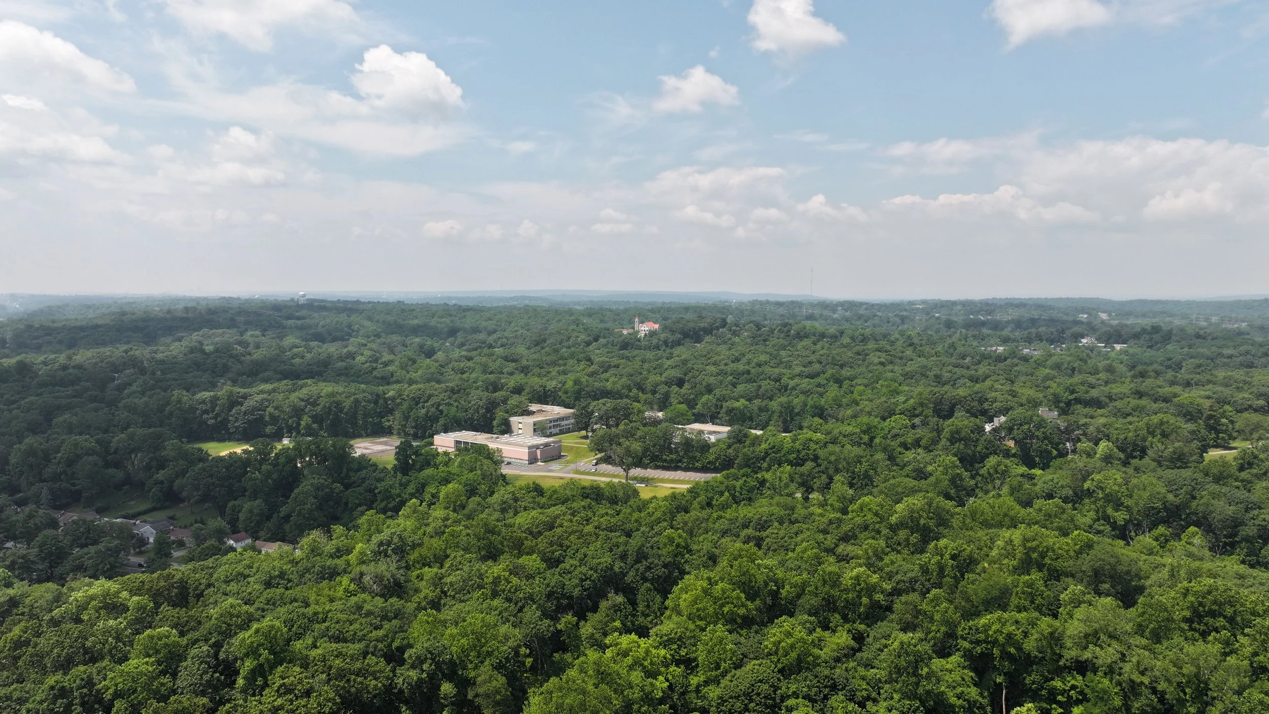 Aerial view of a lush green forest with a few buildings and roads, under a bright sky with scattered clouds.
