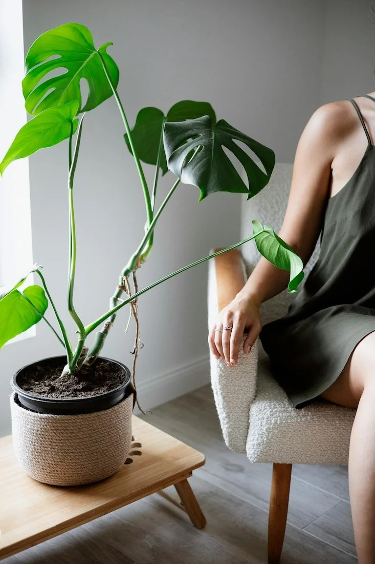 Indoor plant and calm lifestyle setting representing holistic wellness and personalised health philosophy at Paradigm Nutrition Bendigo Victoria