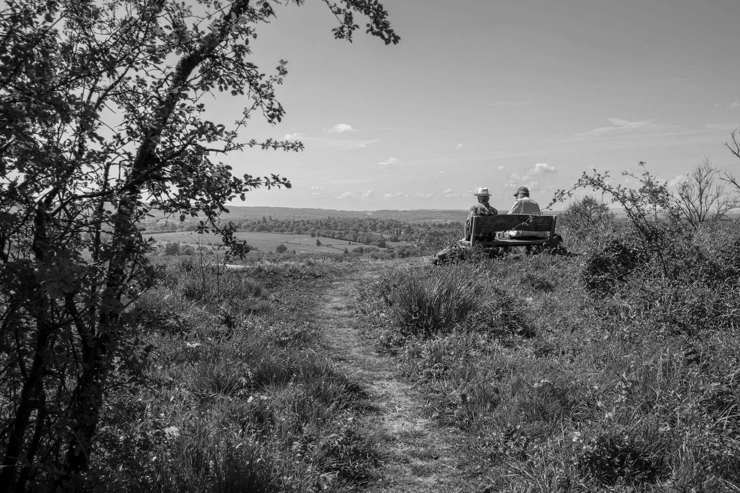 Two men sitting on a park bench overlooking a rural landscape with fields and trees, under a partly cloudy sky.