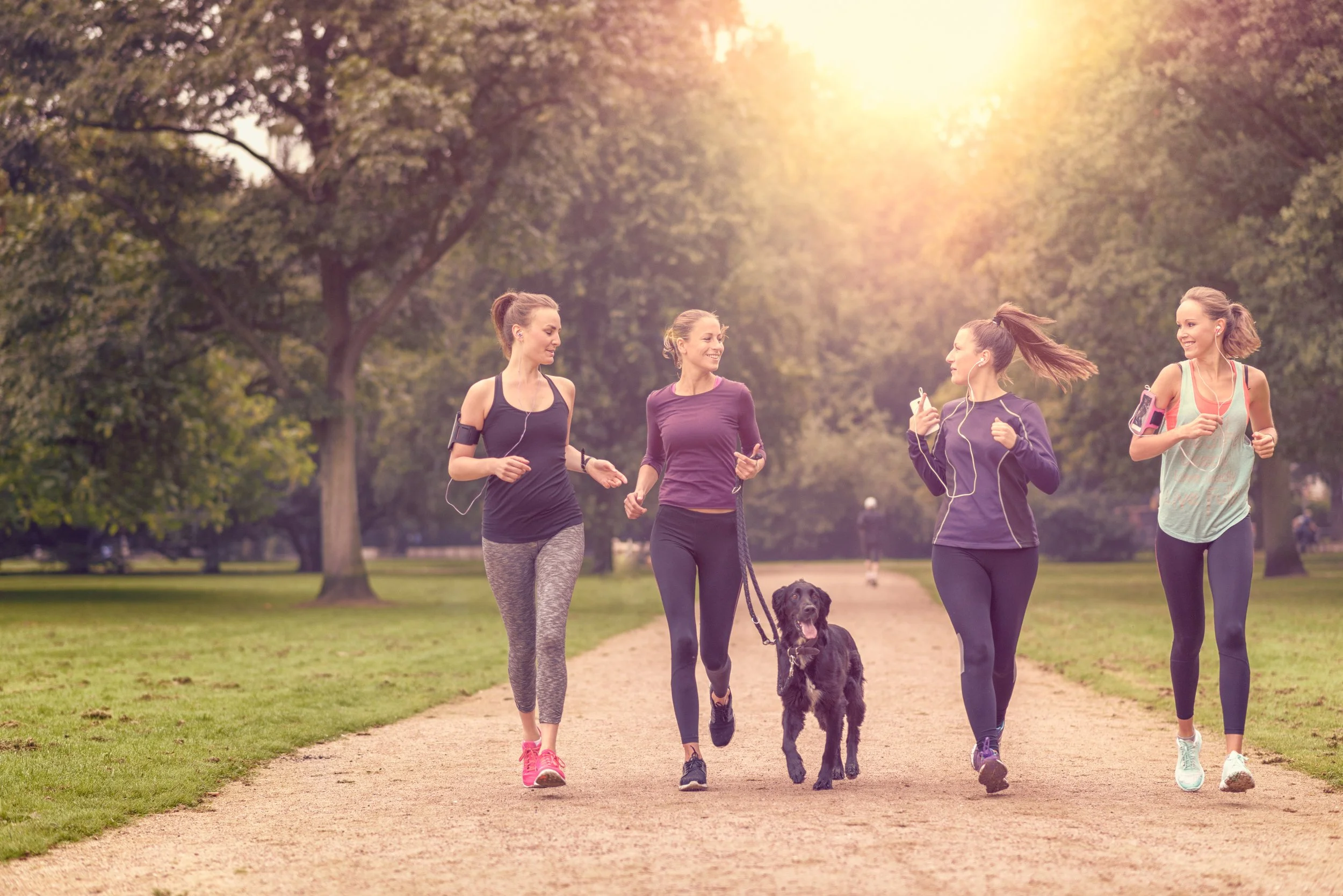 Four women jogging in a park with a dog on a leash during sunset.