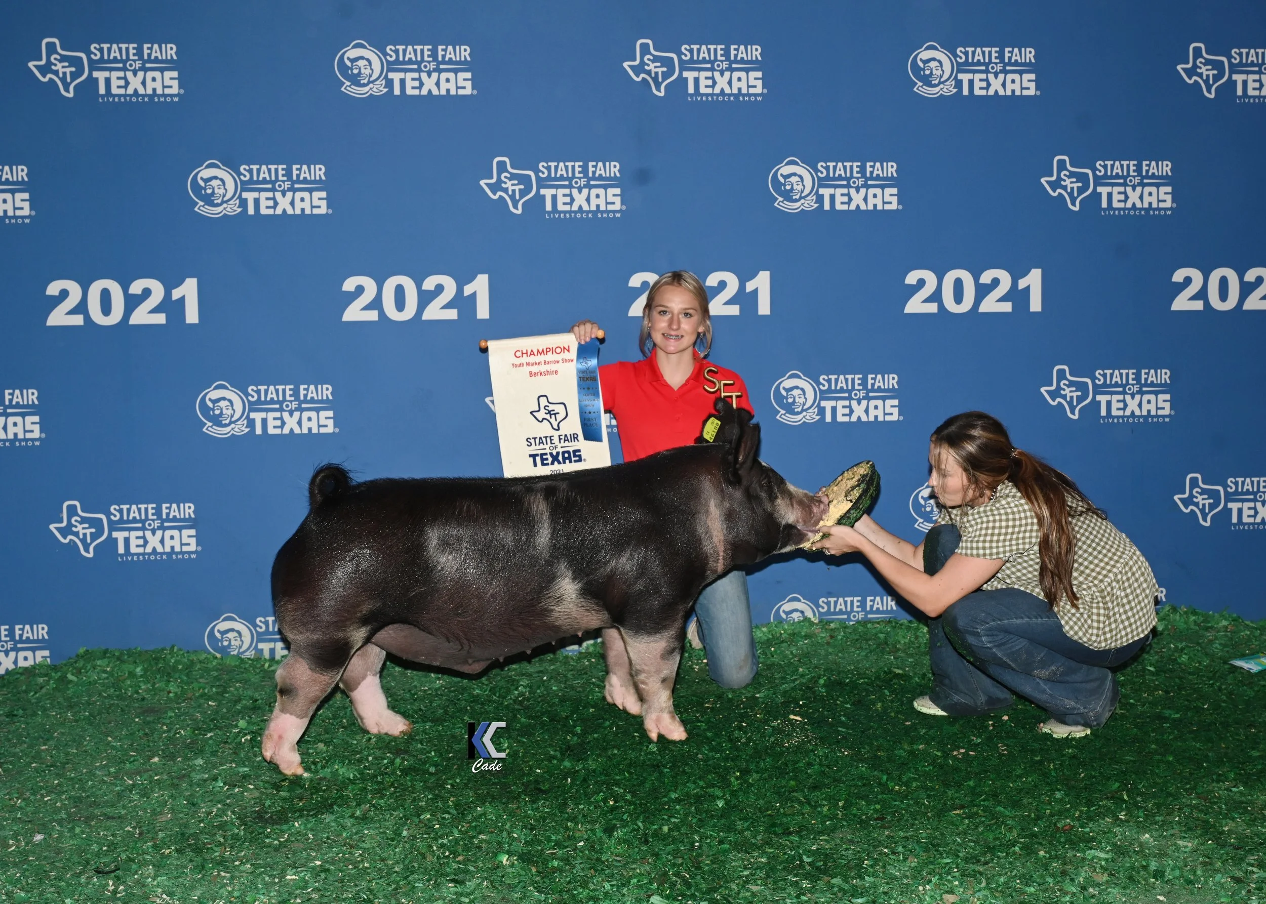 A girl in a red shirt holding a 'Champion' ribbon and certificate standing next to a pig, which is being fed a cucumber by another girl in a checkered shirt, at the Texas State Fair 2021 livestock show.