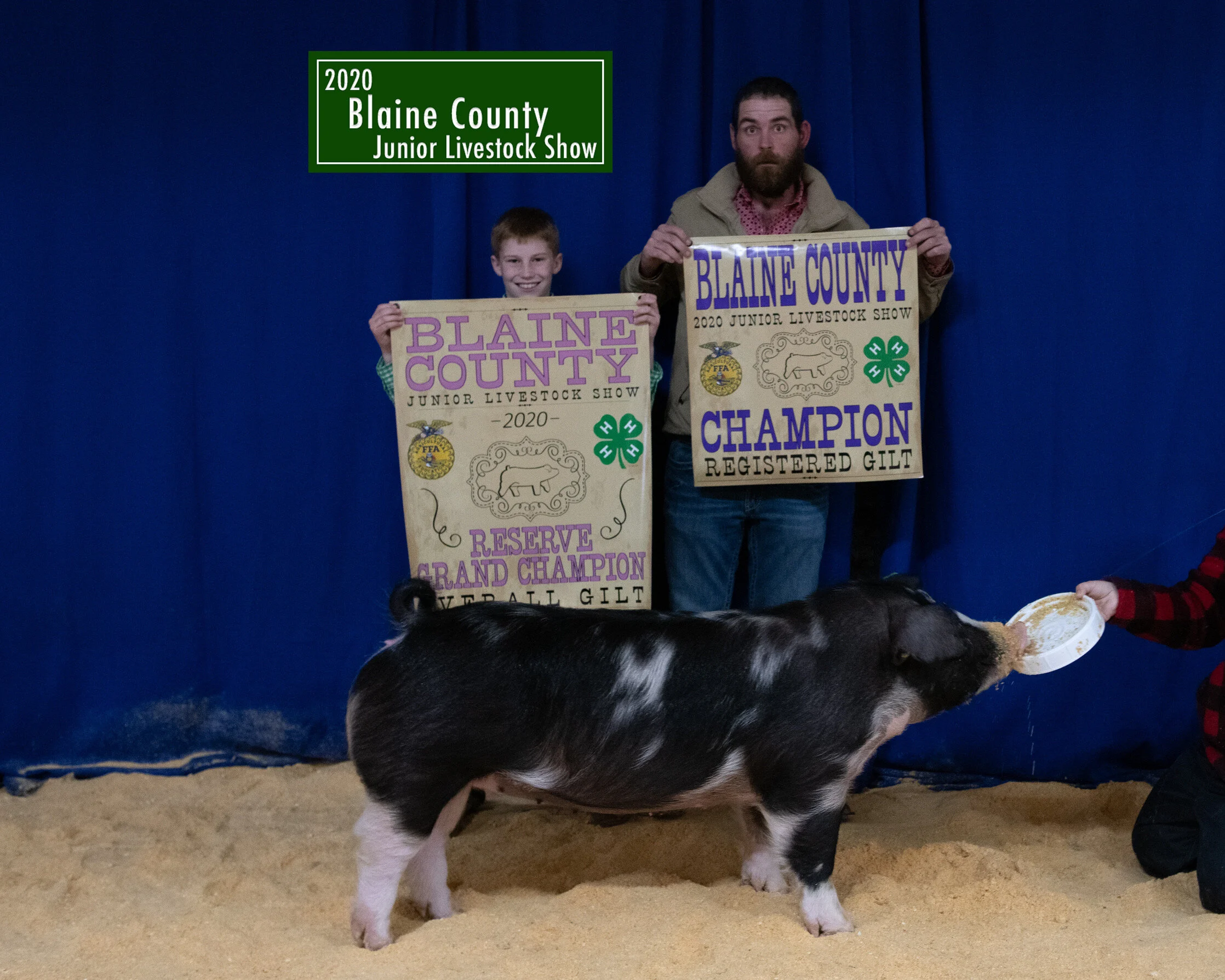 Wigington- Champ spot- Reserve grand gilt- Blaine County.JPG