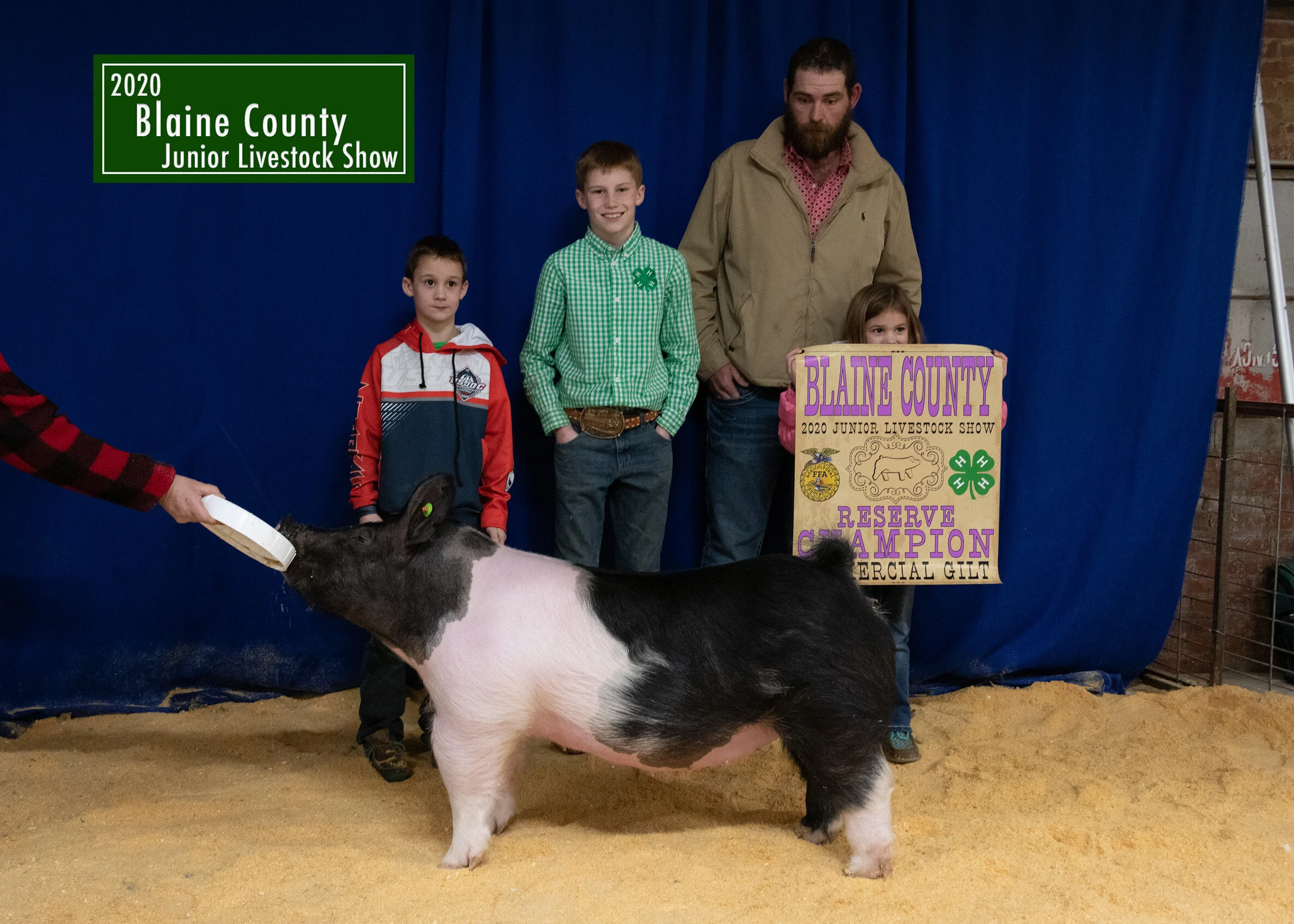 Wigington- Reserve Crossbred Gilt -- Blaine County.JPG