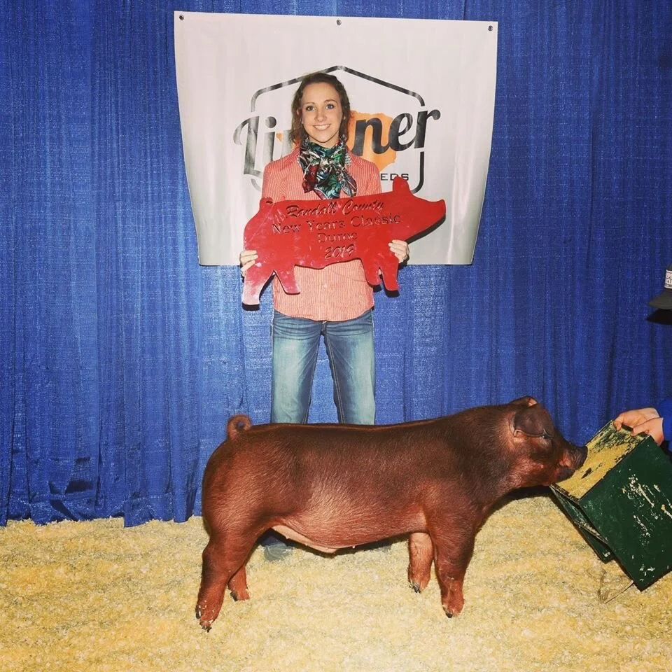 Quirk- reserve duroc- Randall county new years classic.jpg