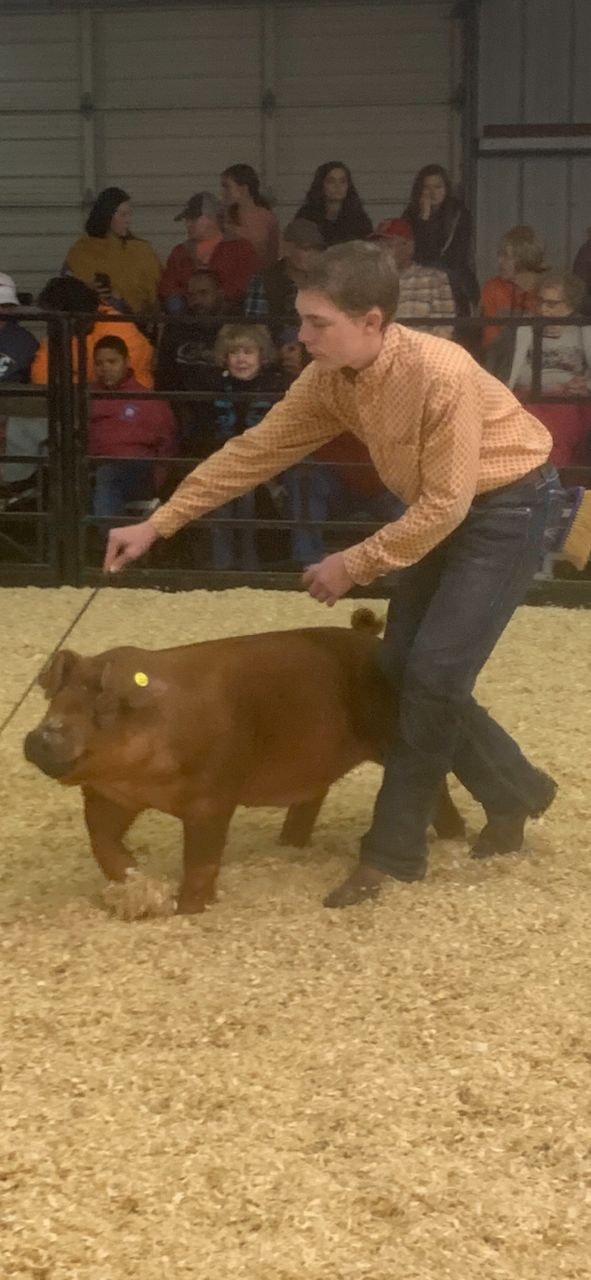 Brogan Lancaster- Reserve Duroc- OCPA day 1 el reno.png