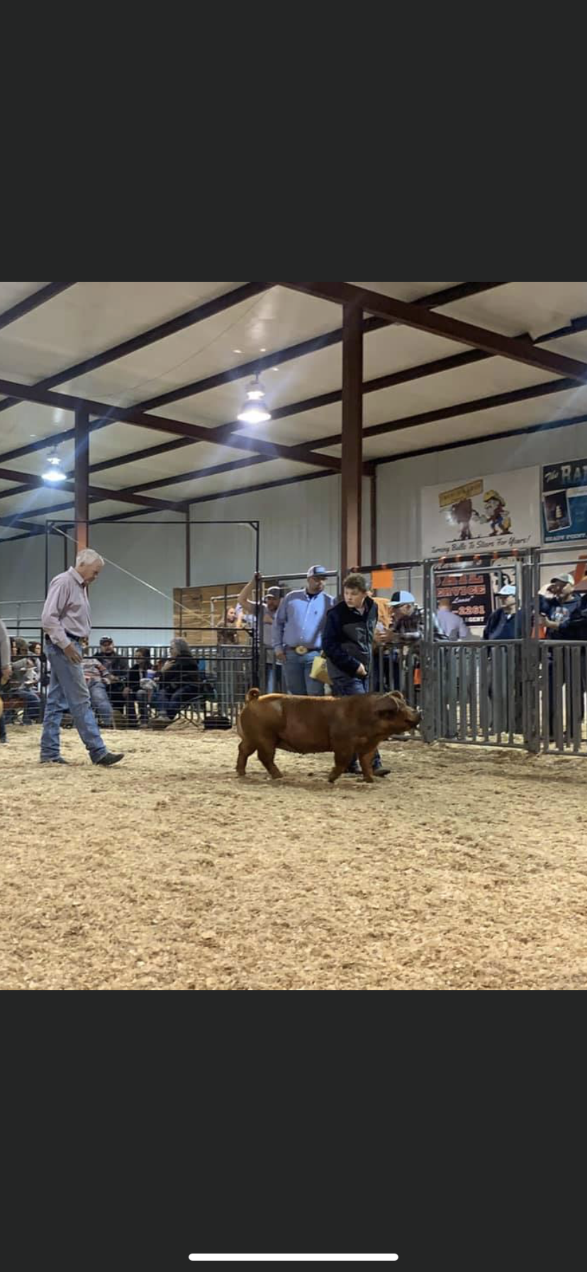 Bronc Ward- Champion Duroc- Lefore County- OK.PNG