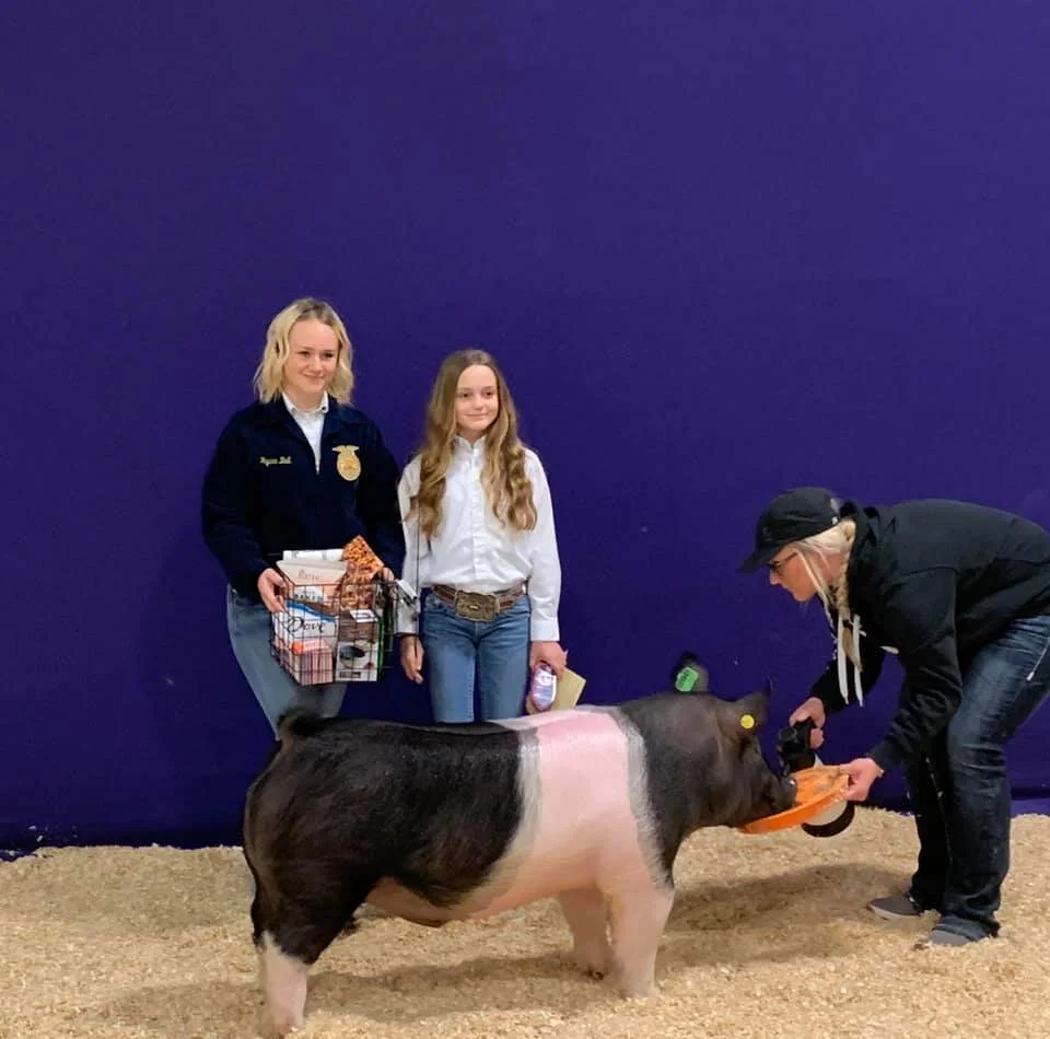 Ball-Chickering- 5th Overall Hampshire- NW District Livestock Show.jpg