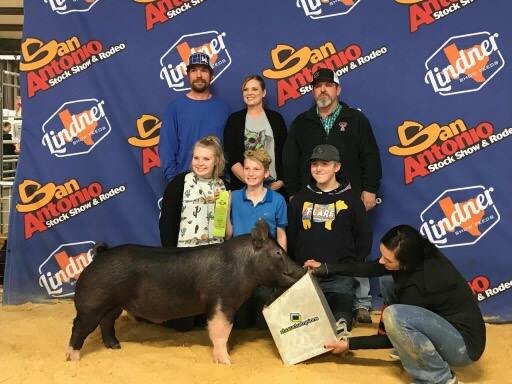 Goree- SALE 7th in class hampshire.jpg