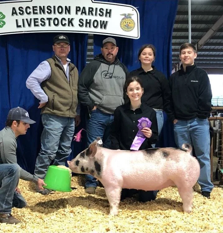Laiche- Ascension Parish Livestock Show Champion Gilt.jpg