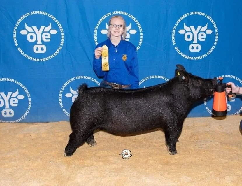 Hailee Ford- OYE 5th in class commercial gilt.JPG